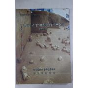 1992년 전곡리구석기유적발굴조사보고서