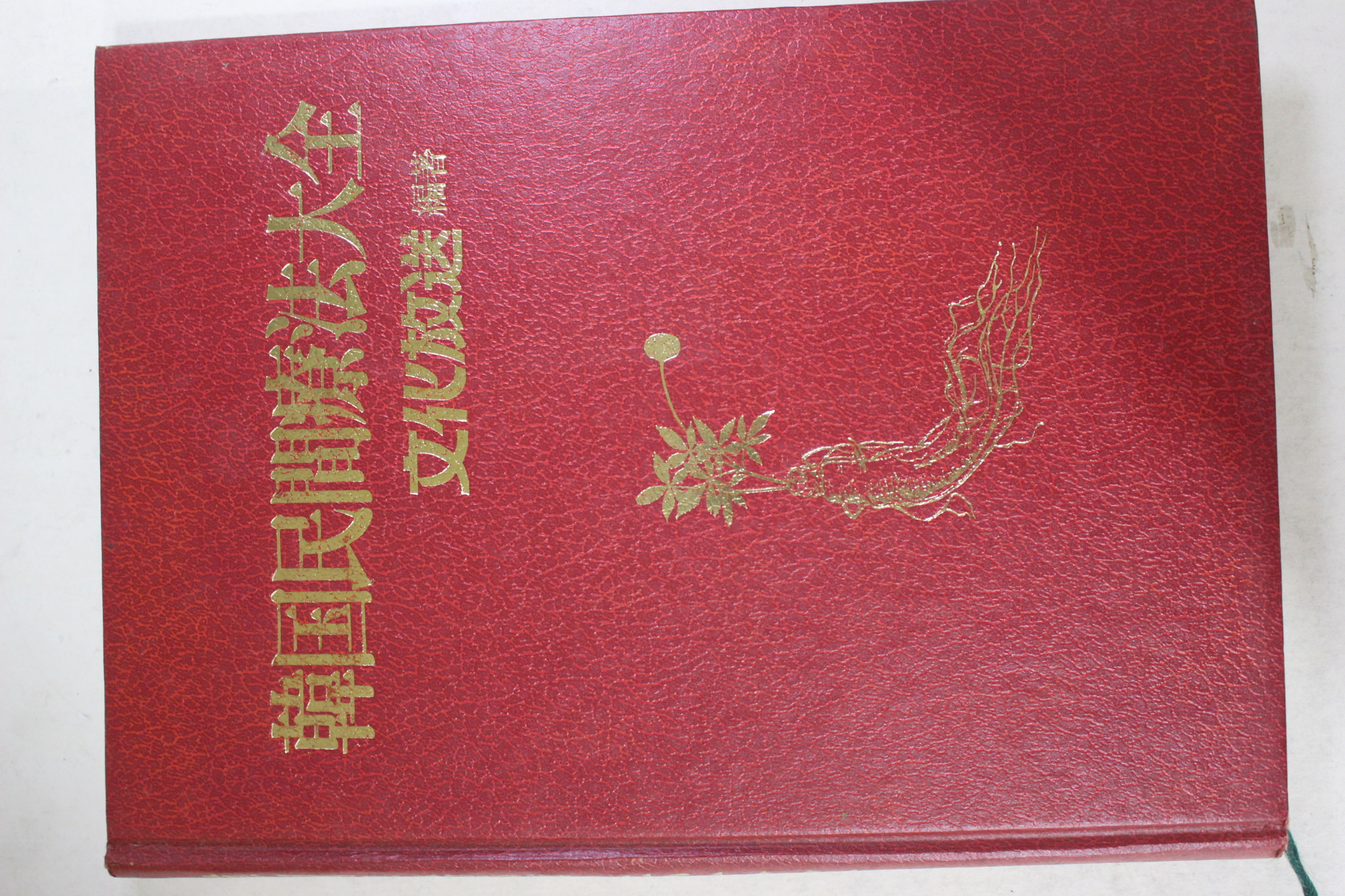 1987년 한국민간요법대전