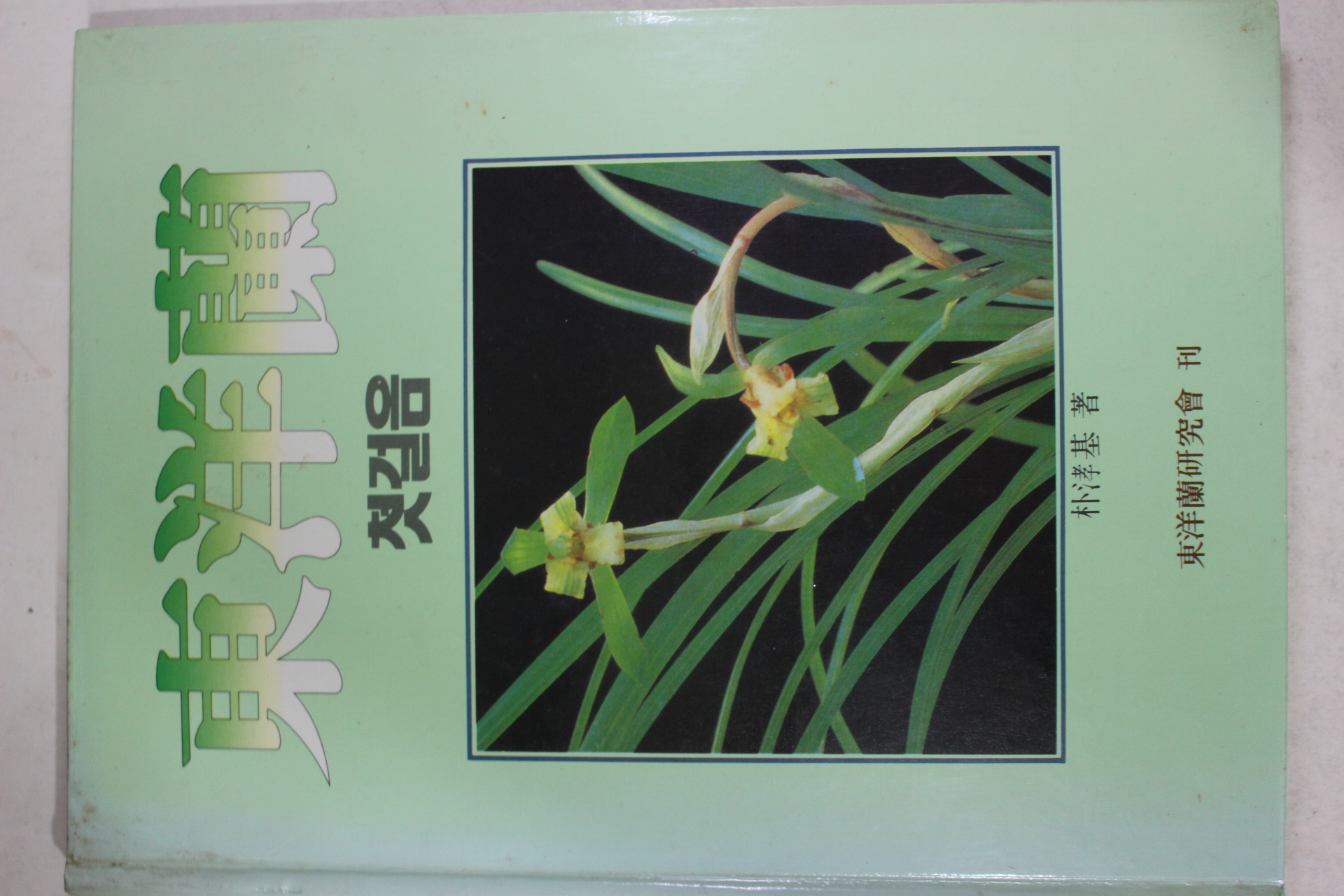 1990년 박효기(朴涍基) 동양란 첫걸음