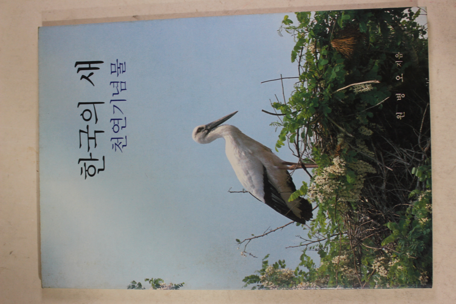 1984년 원병오 한국의 새 천연기념물