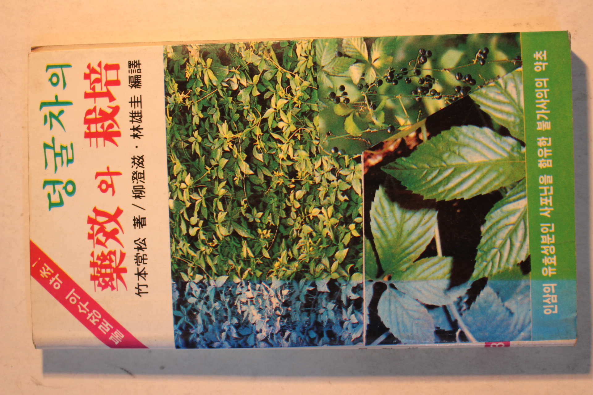 1985년 덩굴차의 약효와 재배