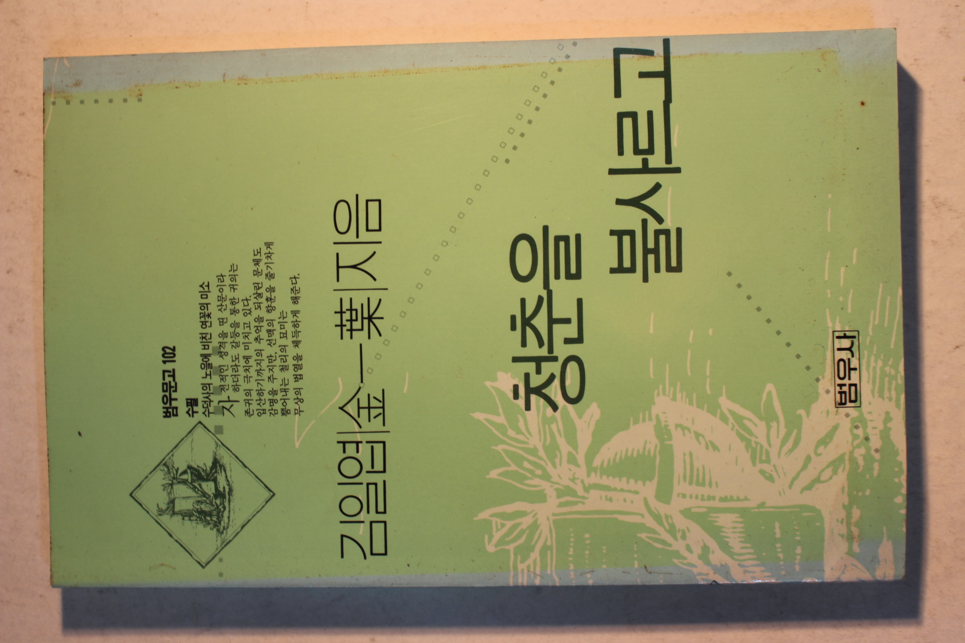 1991년 김일엽(金一葉) 청춘을 불사르고