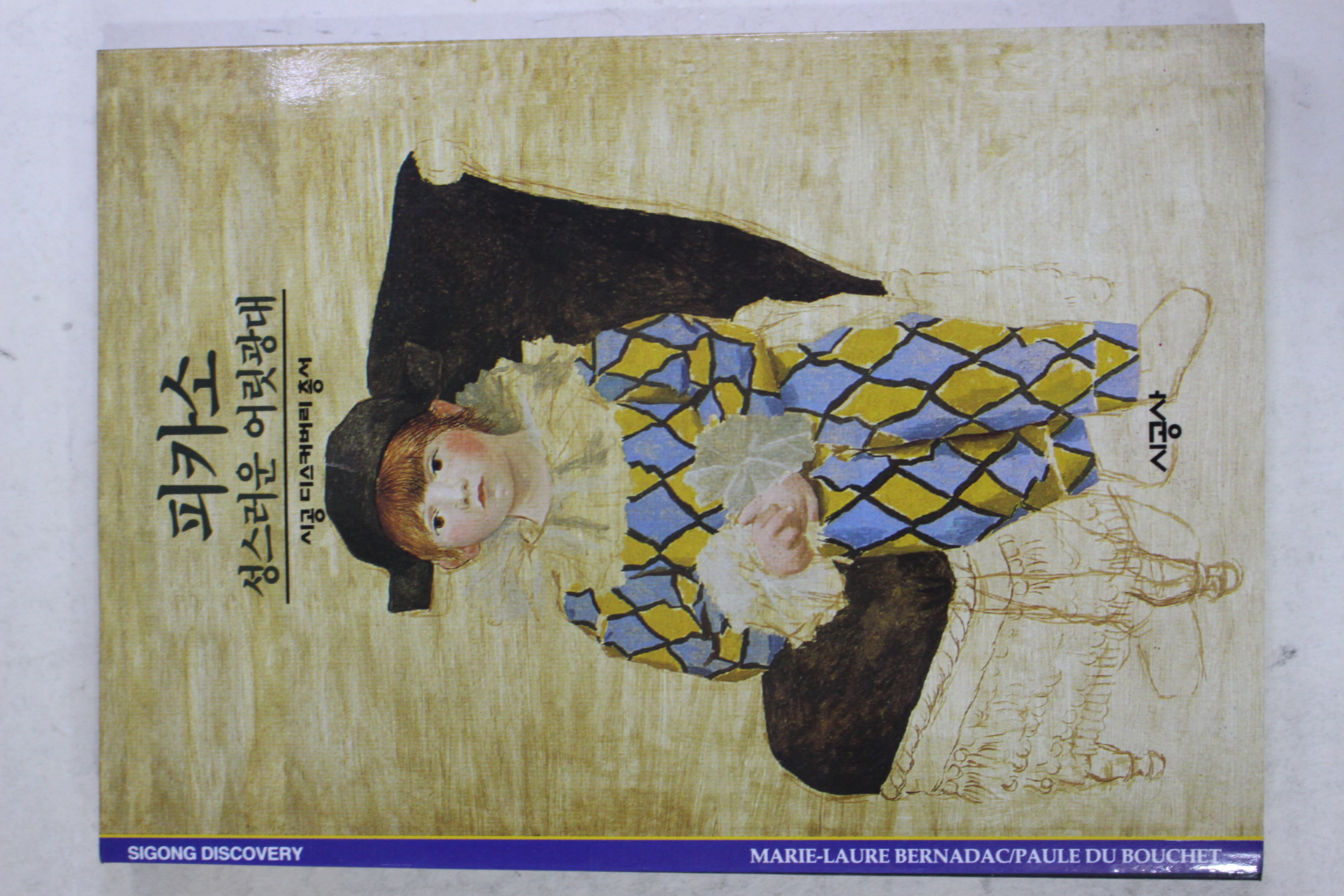 2001년 성스러운 어릿광대 피카소