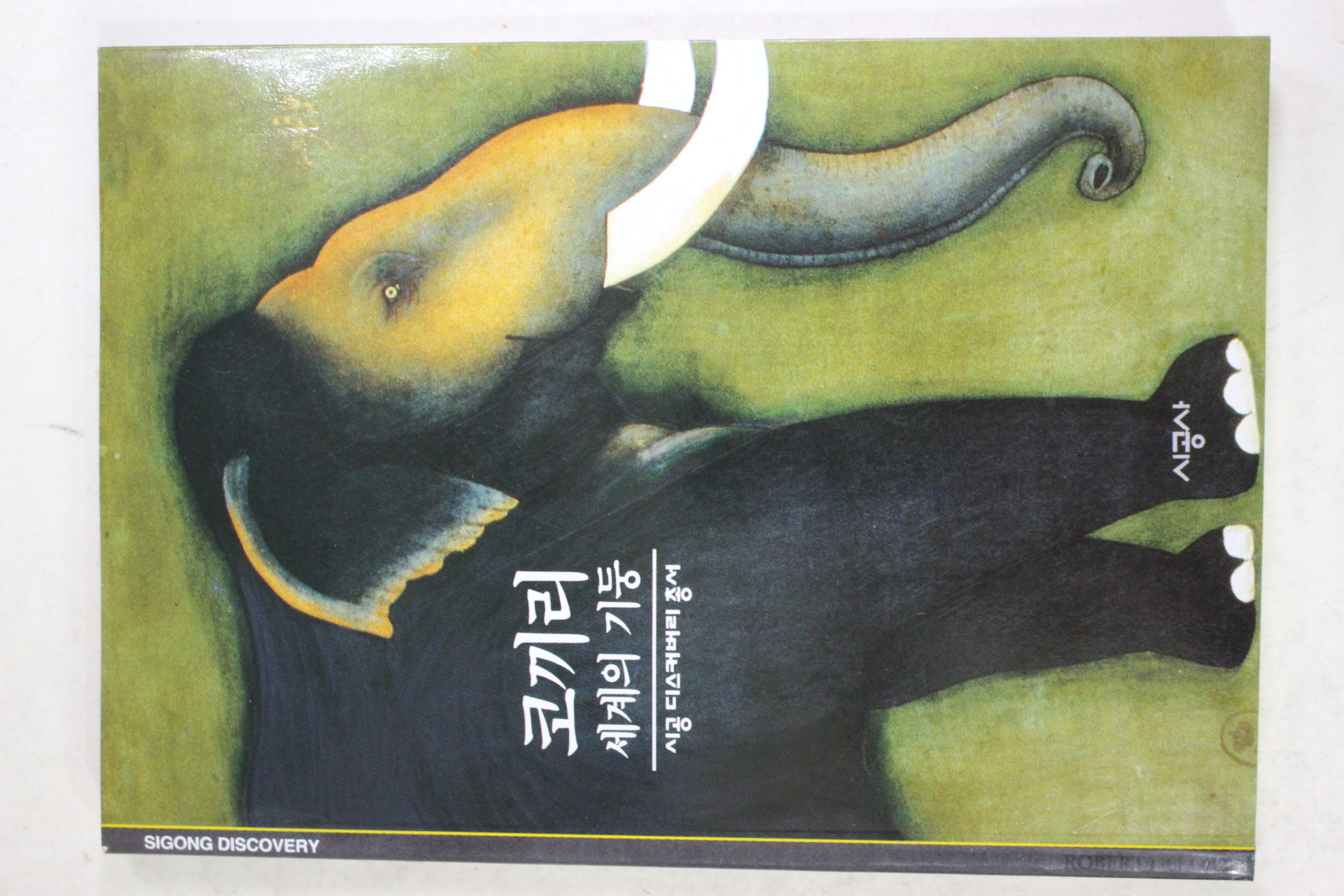 2001년 세계의 기둥 코끼리