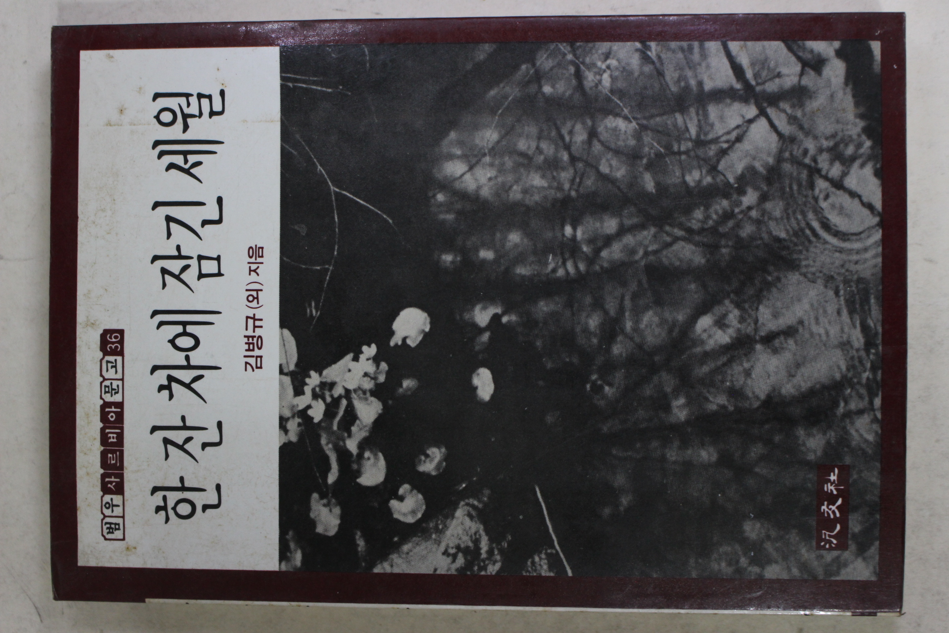 1986년 김병규외 한잔차에 잠긴 세월