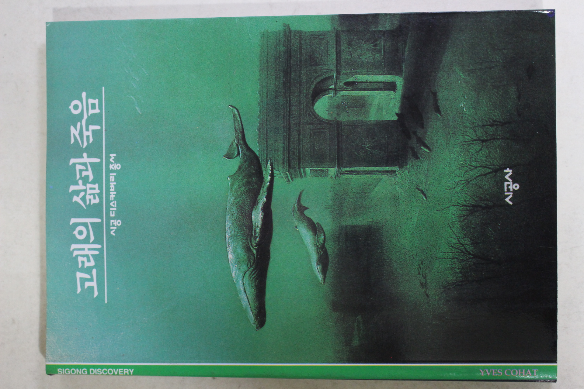 2001년 고래의 삶과 죽음