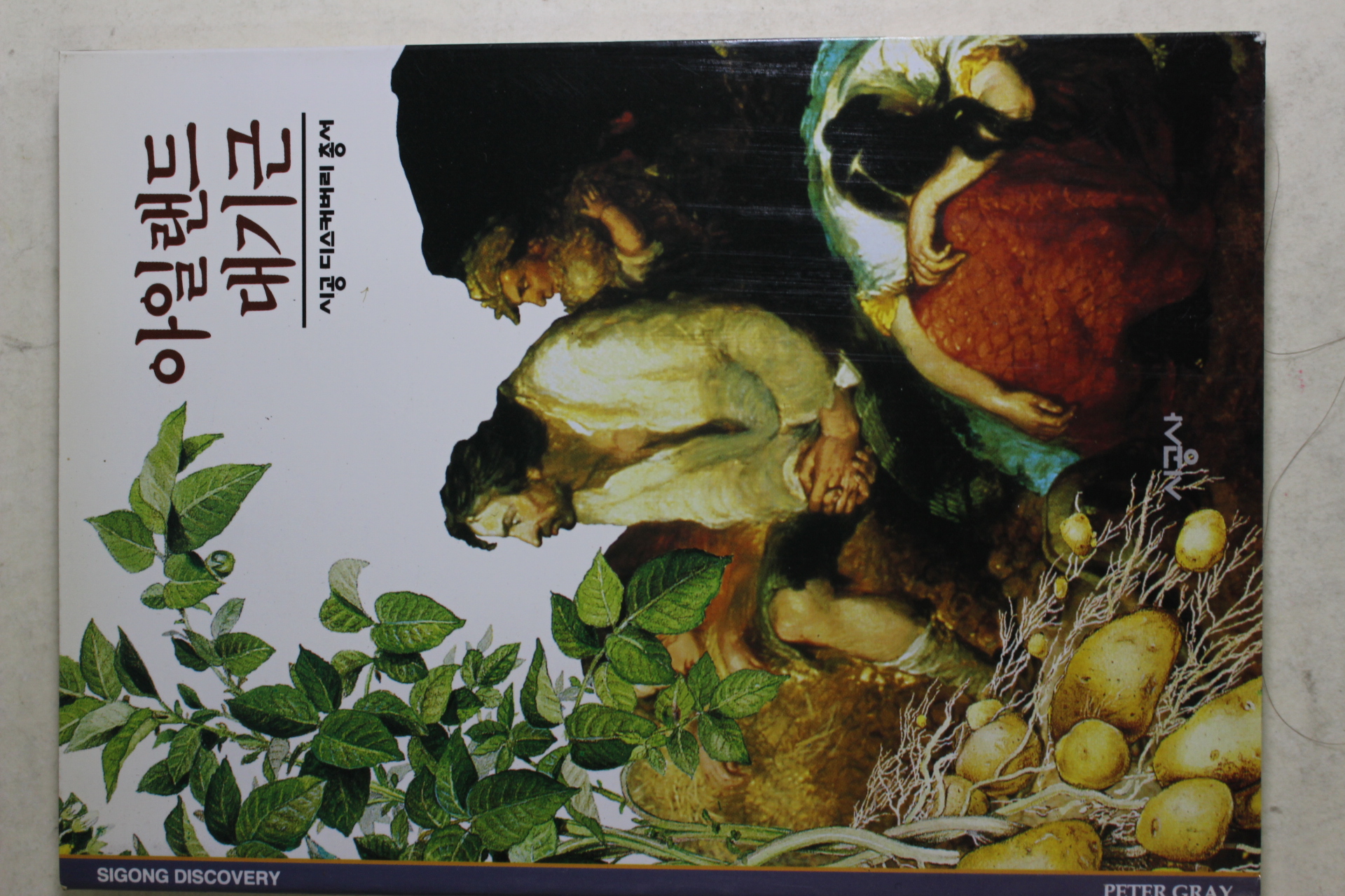 2001년 아일랜드 대기근