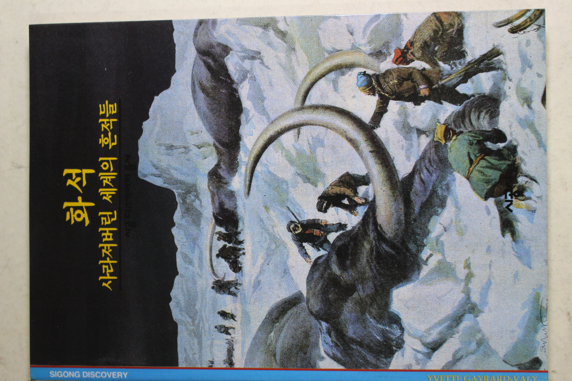 2001년 사라져버린 세계의 흔적들 화석