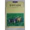 1993년초판 빛깔있는 책들 한국의 토종개