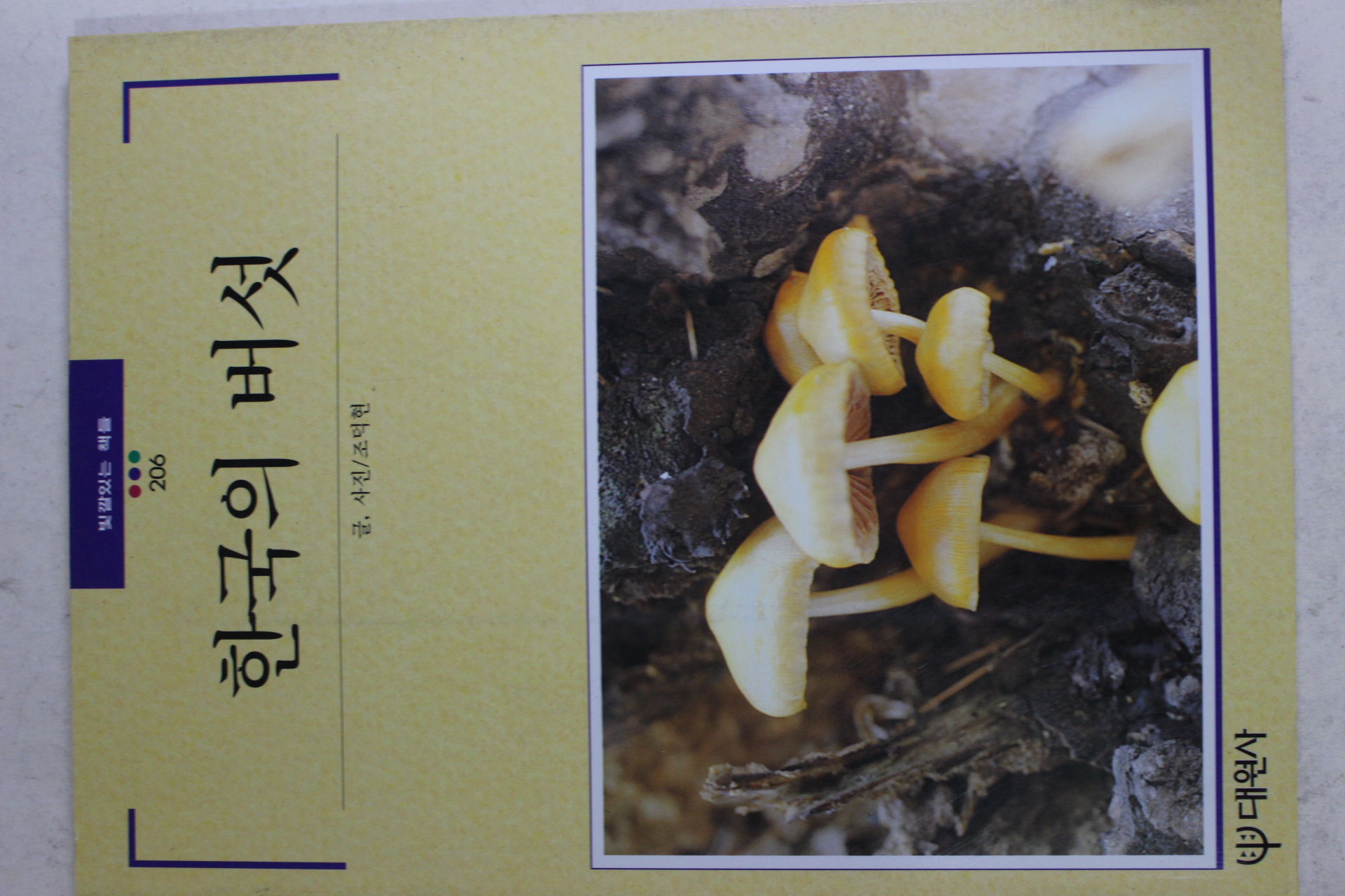 1997년초판 빛깔있는 책들 한국의 버섯
