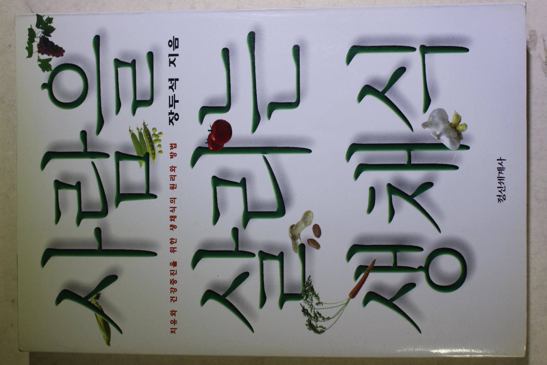 1997년초판 장두석 사람을 살리는 생채식