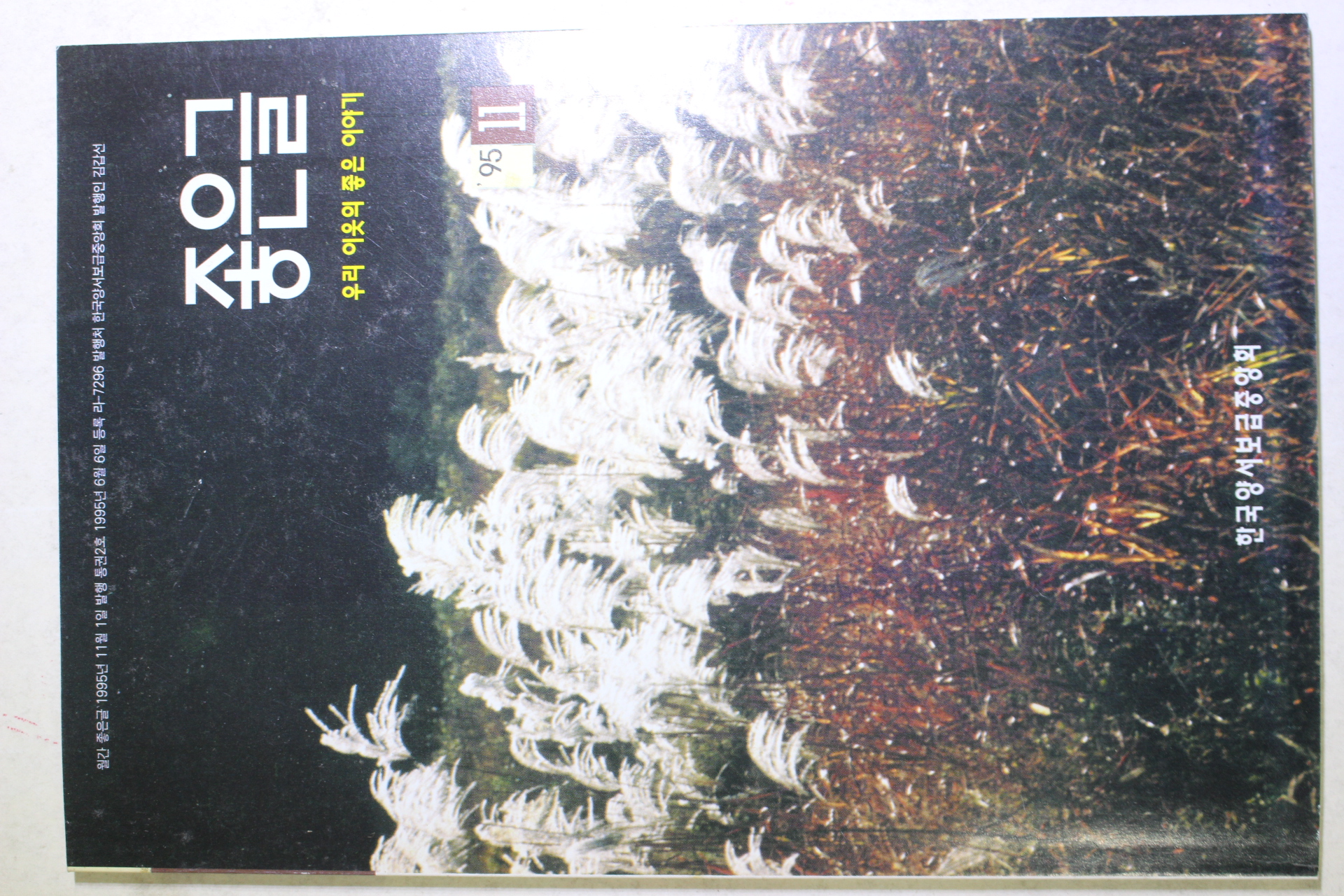 1995년 좋은글 11월호