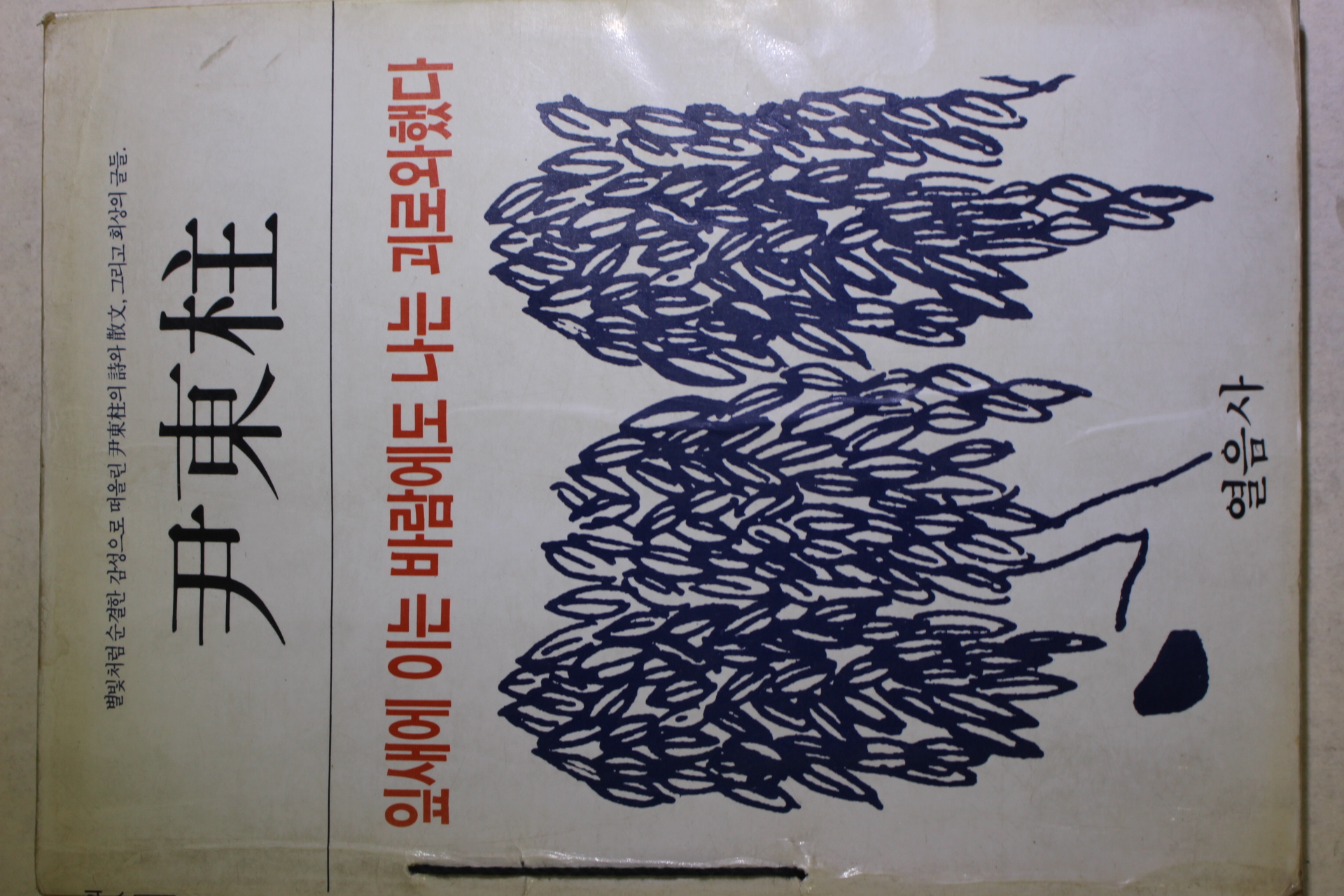 1984년 윤동주(尹東柱) 잎새에 이는 바람에도 나는 괴로와했다
