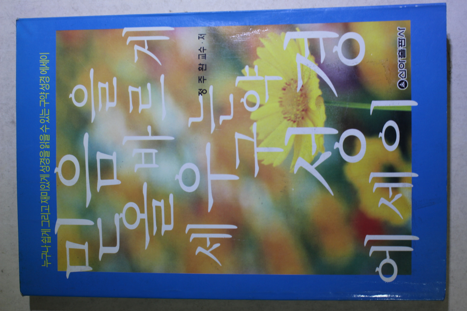 2001년초판 정주환 믿음을 올바르게 세우는 구약성경 에세이