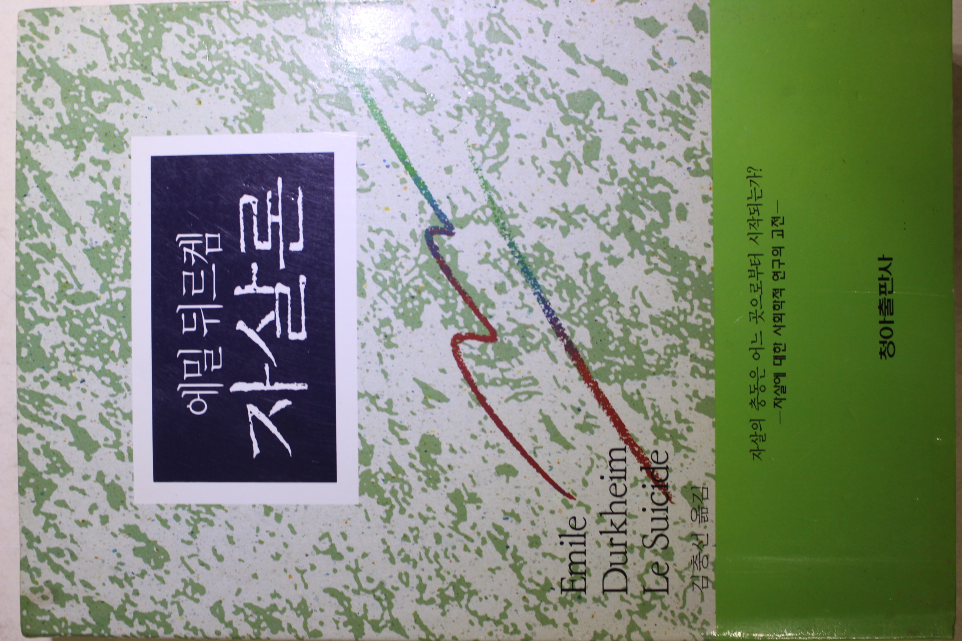 2000년 에밀 뒤르켐 자살론