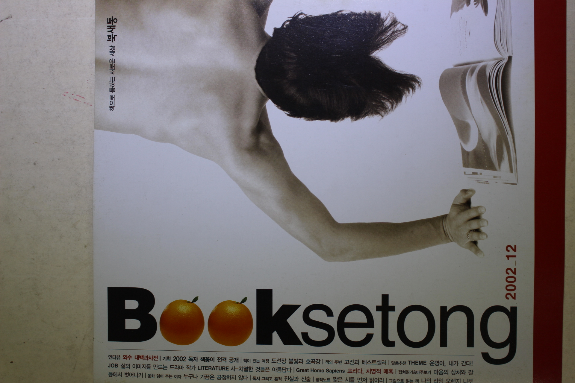 2002년 북새통 12월호