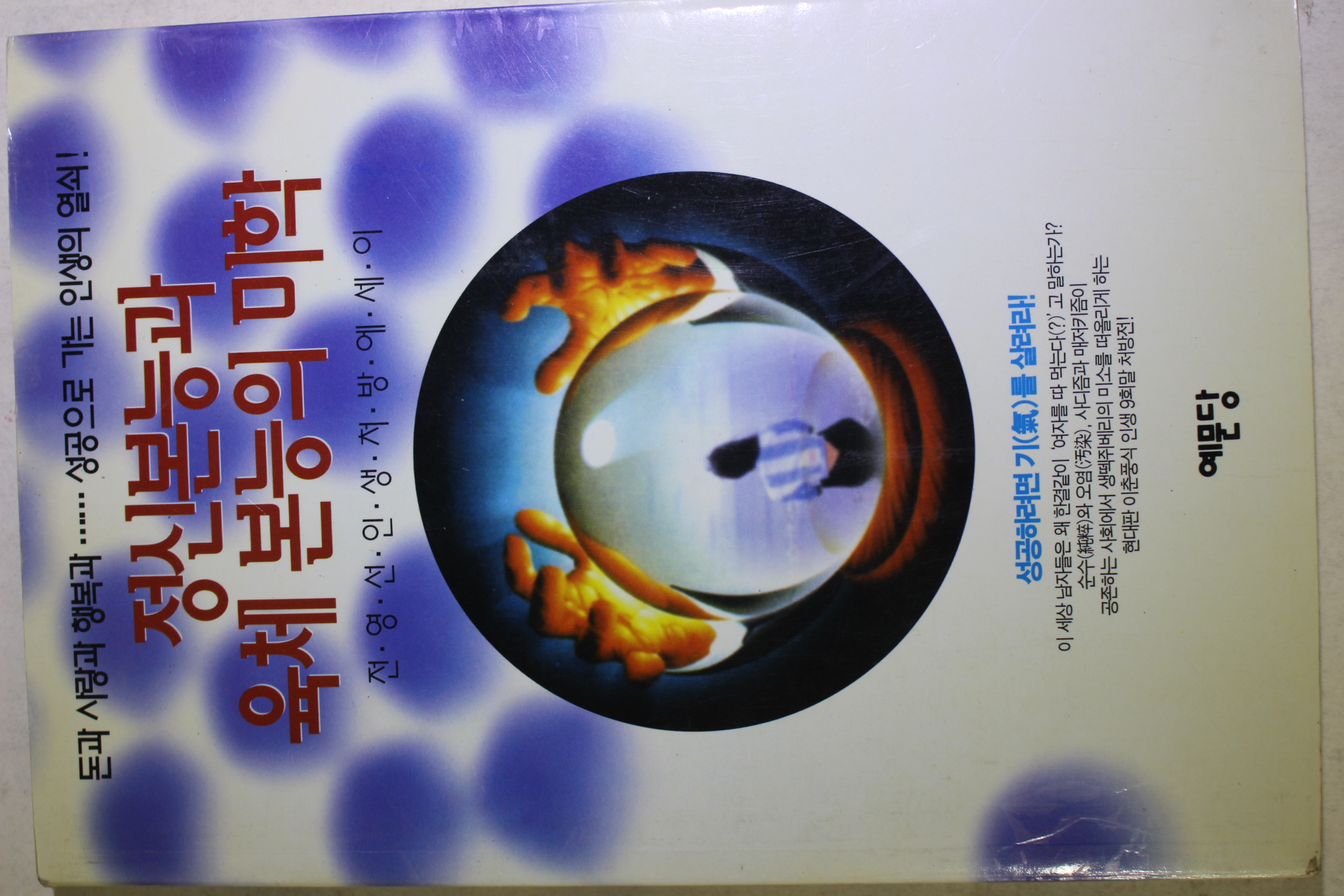 1995년 전영선 정신본능과 육체본능의 미학