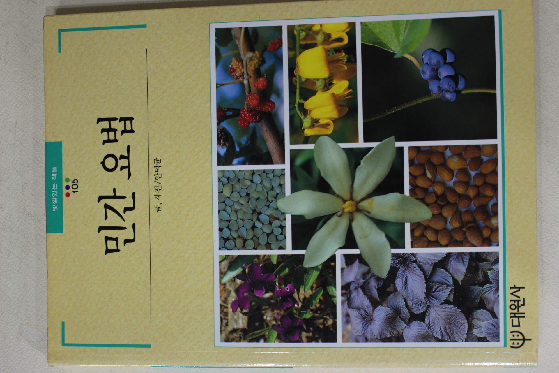 1993년 빛깔있는 책들 민간요법