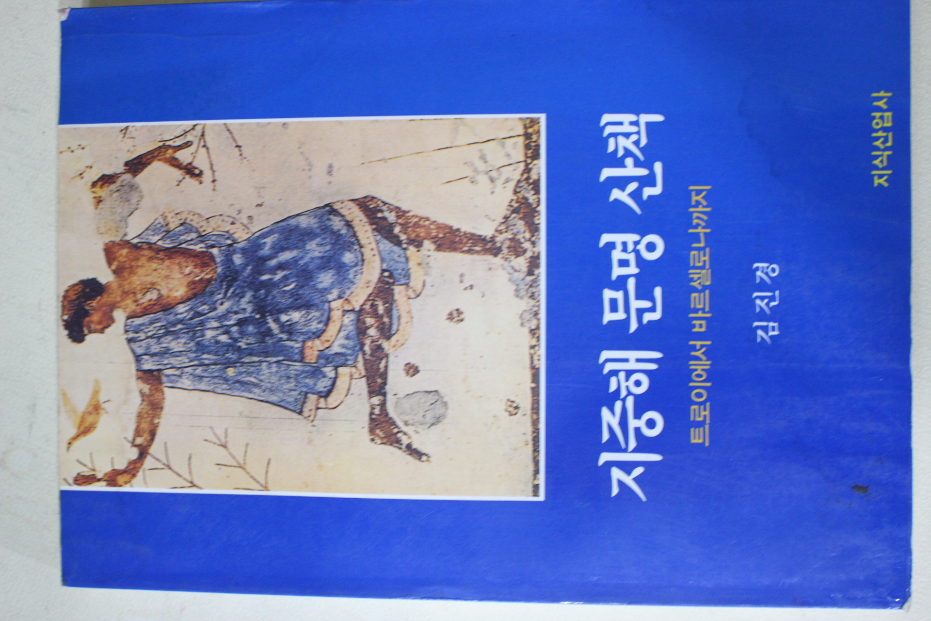 1995년 김진경 지중해 문명 산책