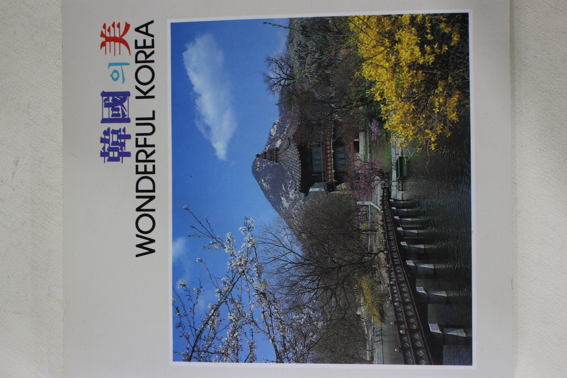 1990년 한국의 미