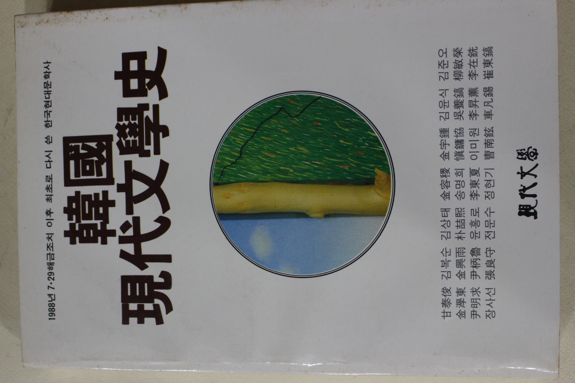 1989년 김우종외 한국 현대문학사