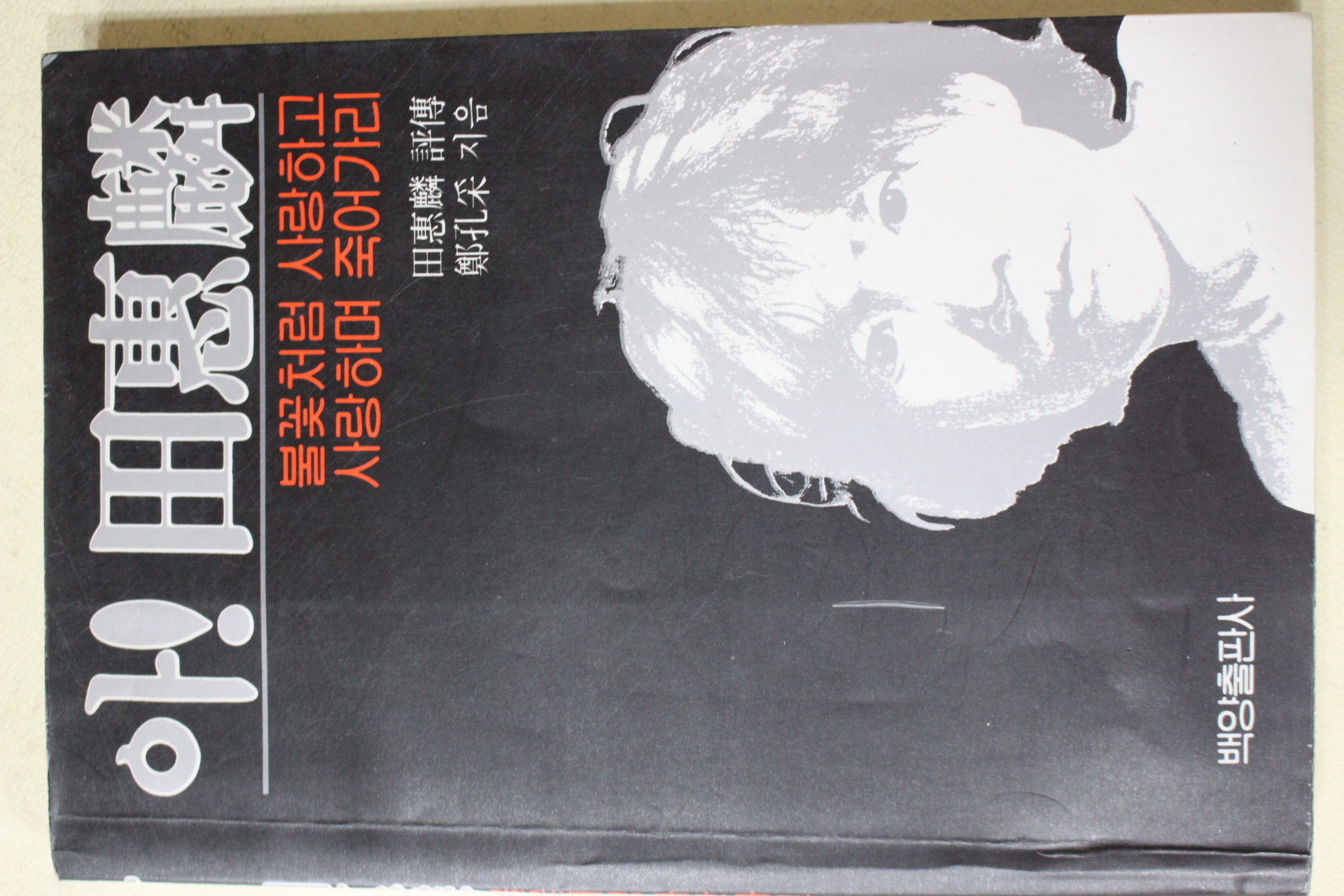 1990년 전혜린(田惠麟) 불꽃처럼 사랑하고 사랑하며 죽어가리