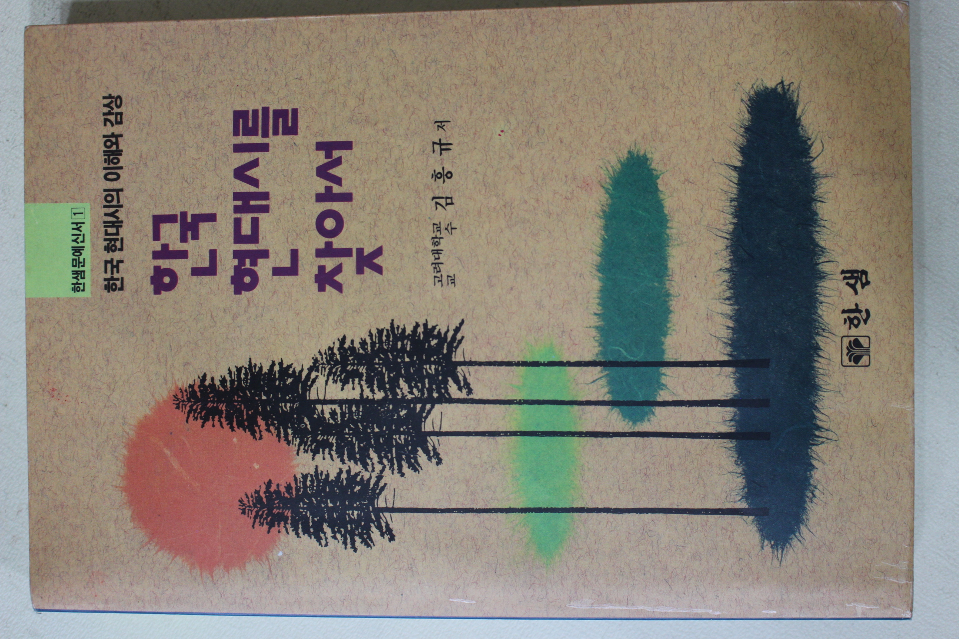 1993년초판 김흥규 한국 현대시를 찾아서