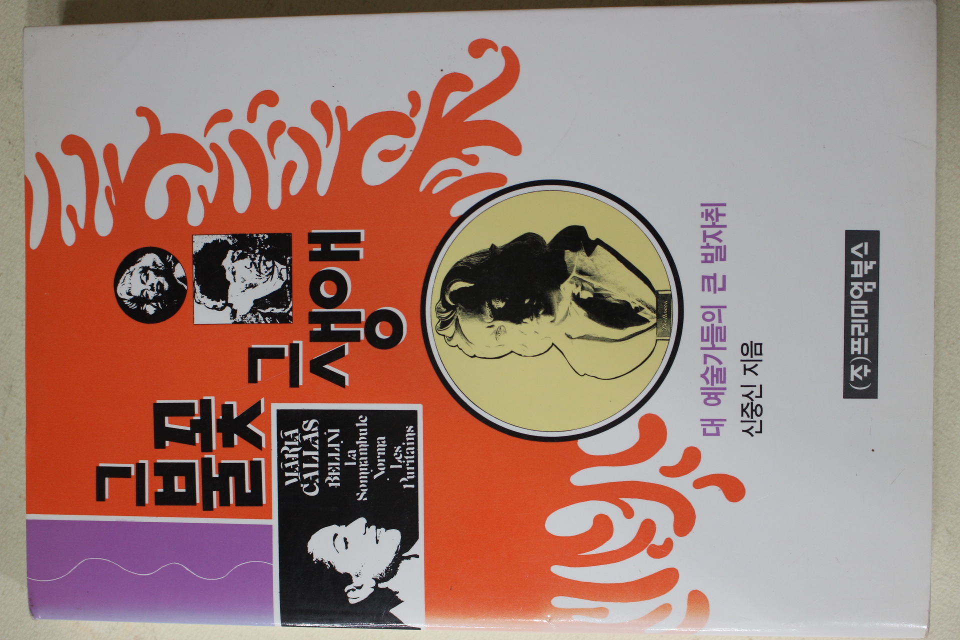 1995년초판 신중신 그 불꽃 그 생애