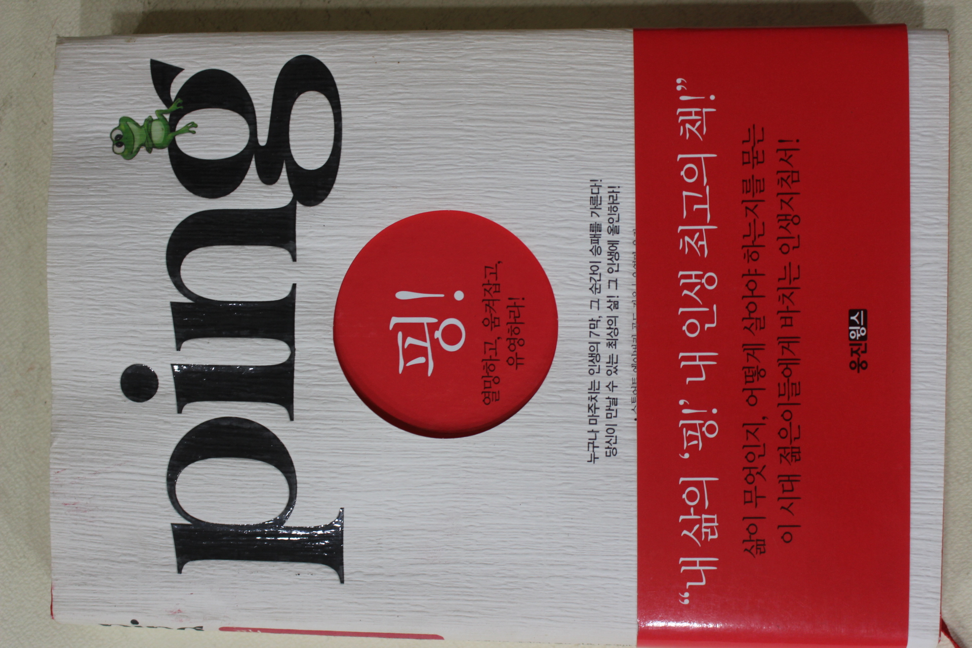 2006년 스튜어트에이버리골드 유영만옮김 핑