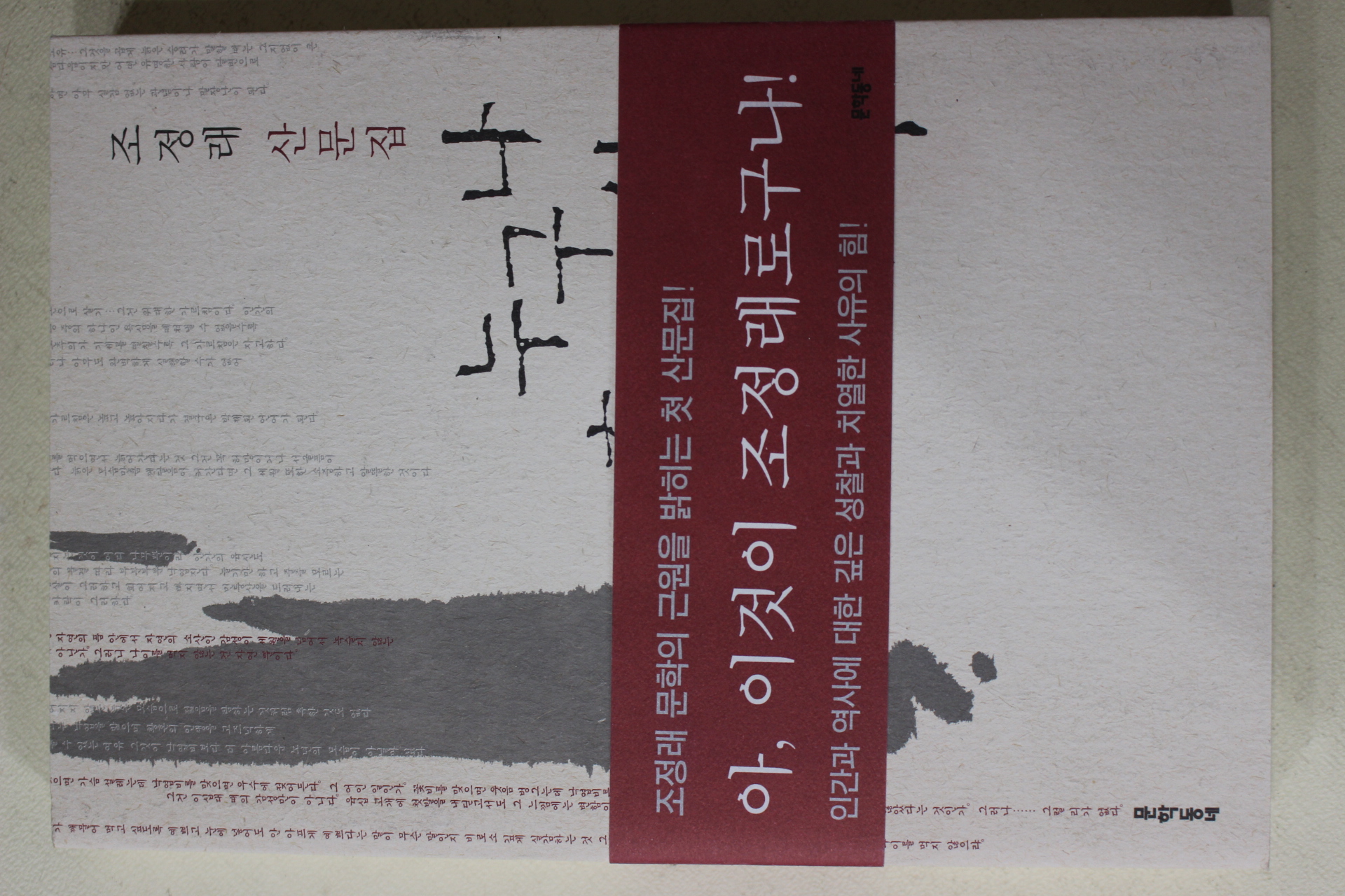 2002년초판 조정래 산문집 누구나 홀로 선 나무