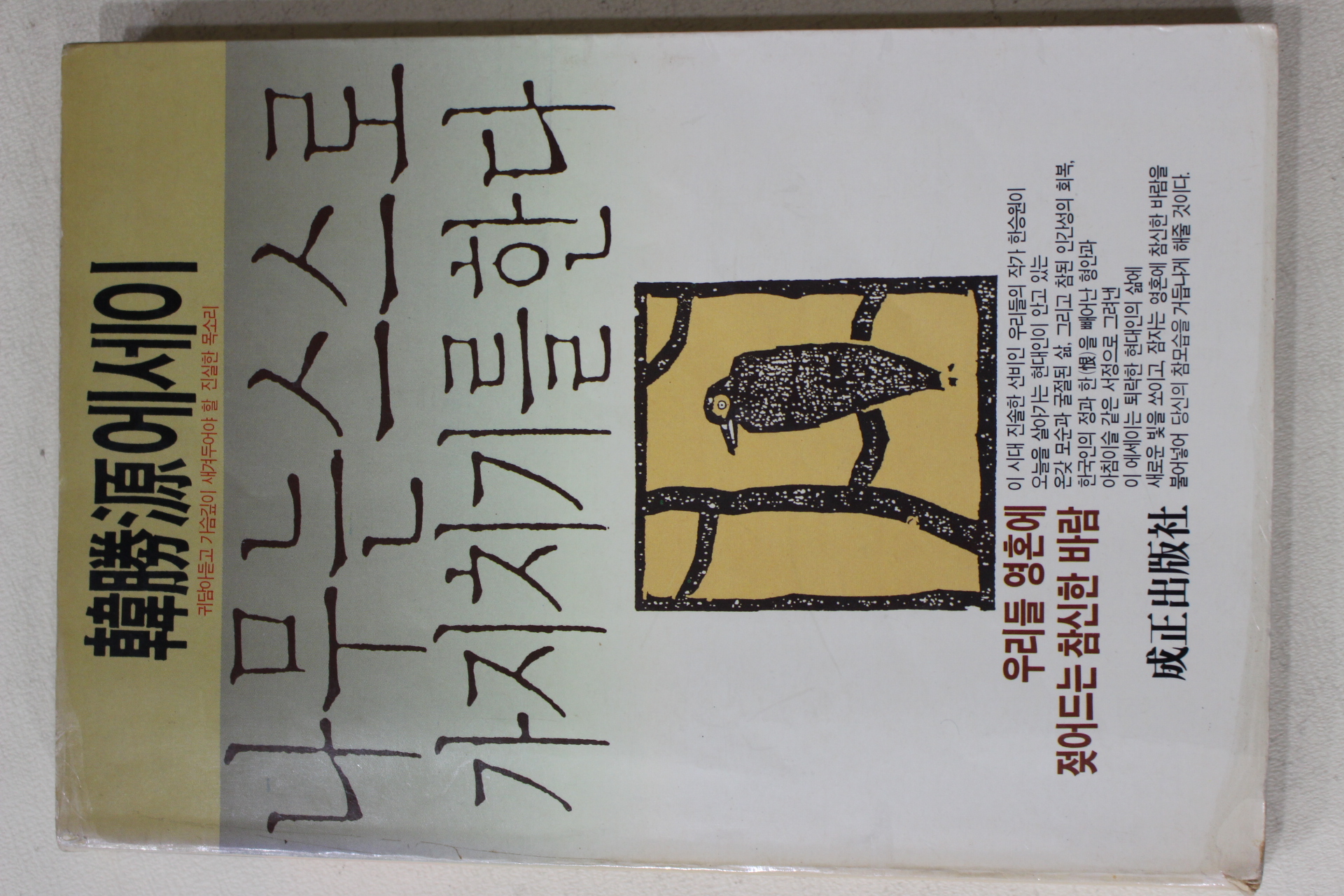 1989년초판 한승원(韓勝源)에세이 나무는 스스로 가지치기를 원한다