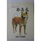 1983년 전주 윤가축병원 천연기념물53호 진도견(珍島犬)