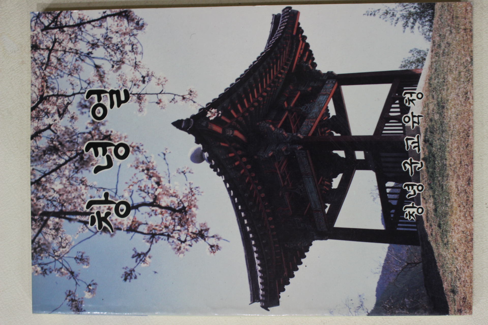 1990년 창녕군교육청 창녕얼