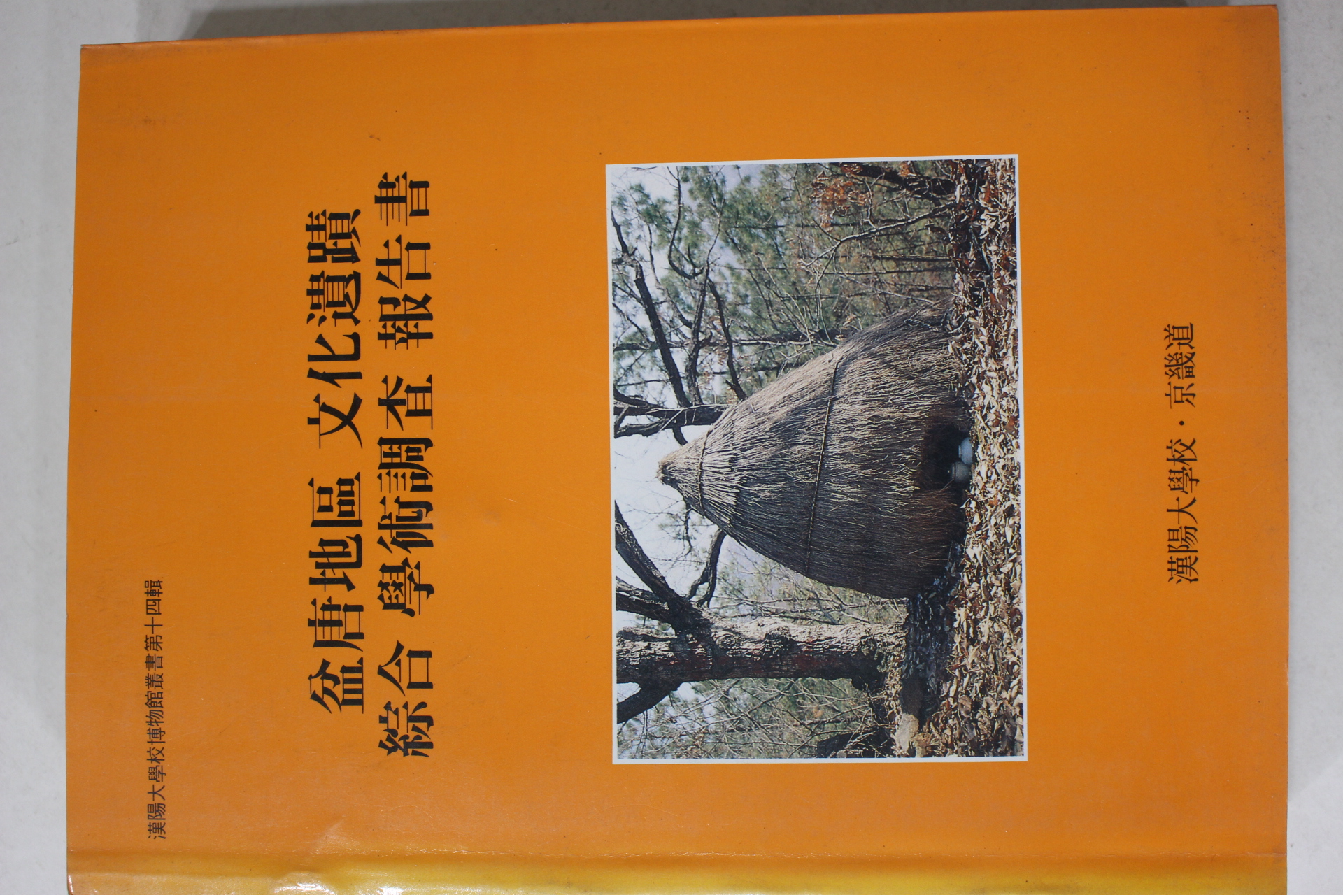 1991년 한양대학교.경기도 분당지구 문화유적 종합 학술조사보고서