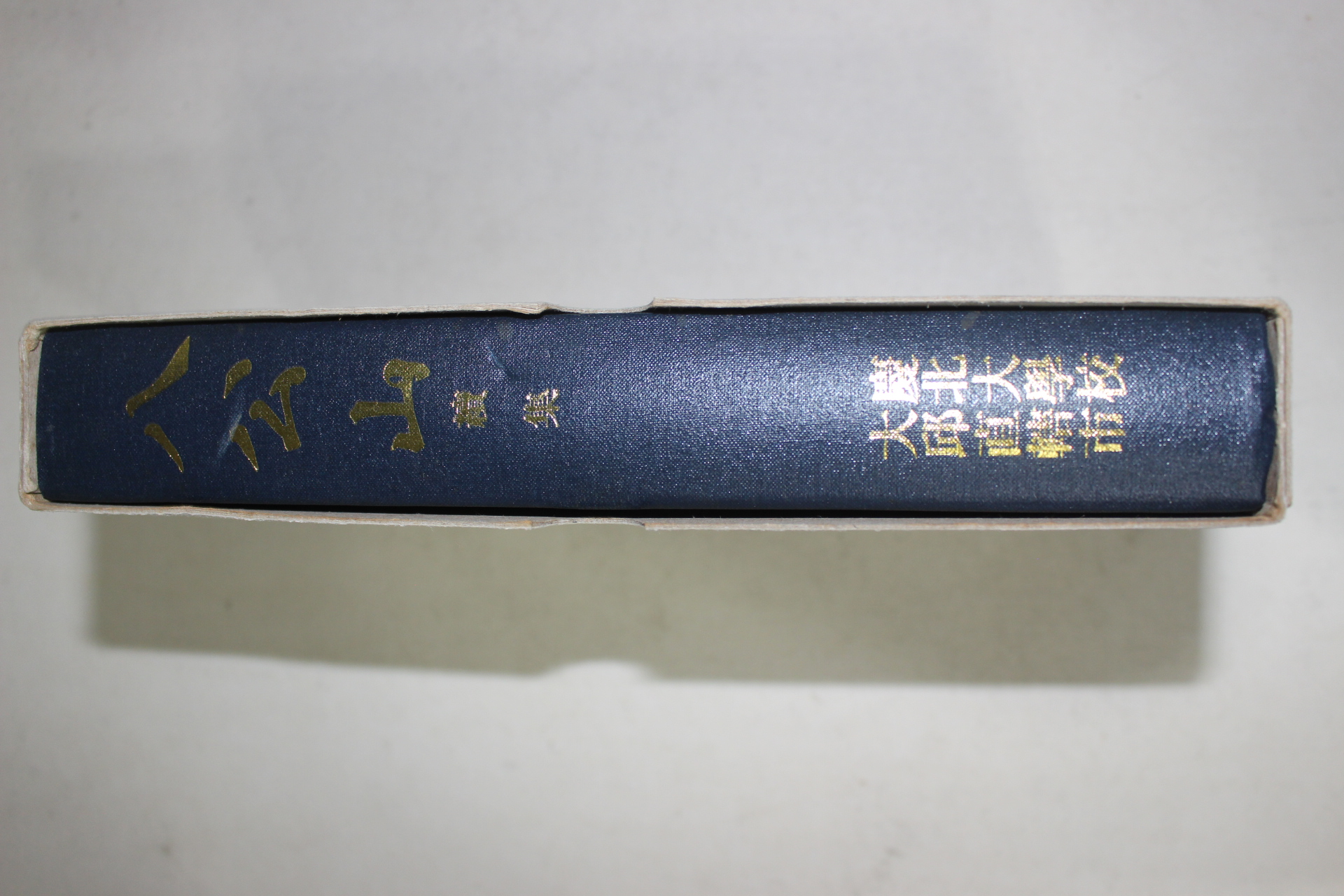 1994년 대구직할시 경북대학교 팔공산(八公山) 속집