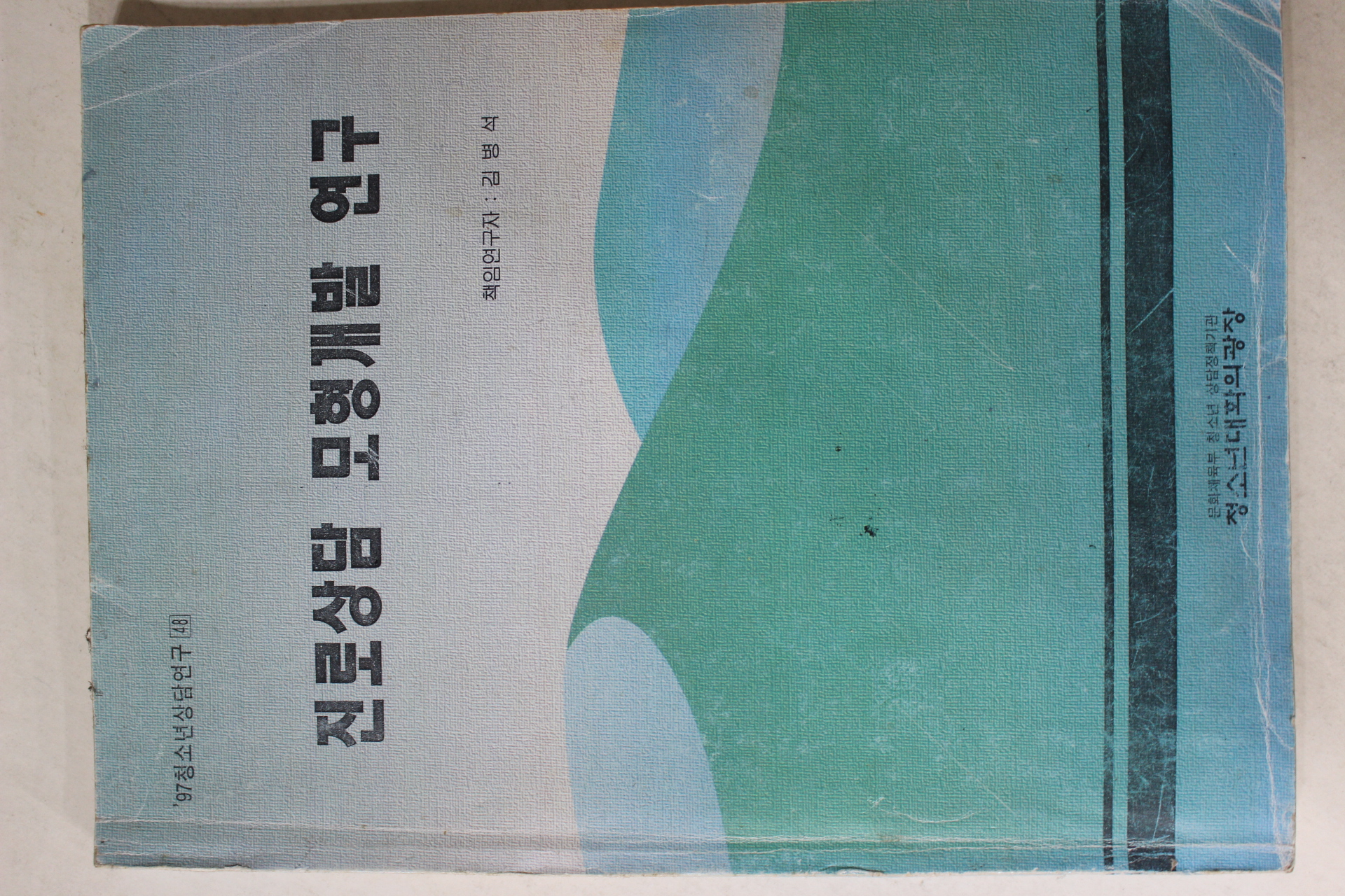 1997년 김병석 진로상담 모형개발 연구