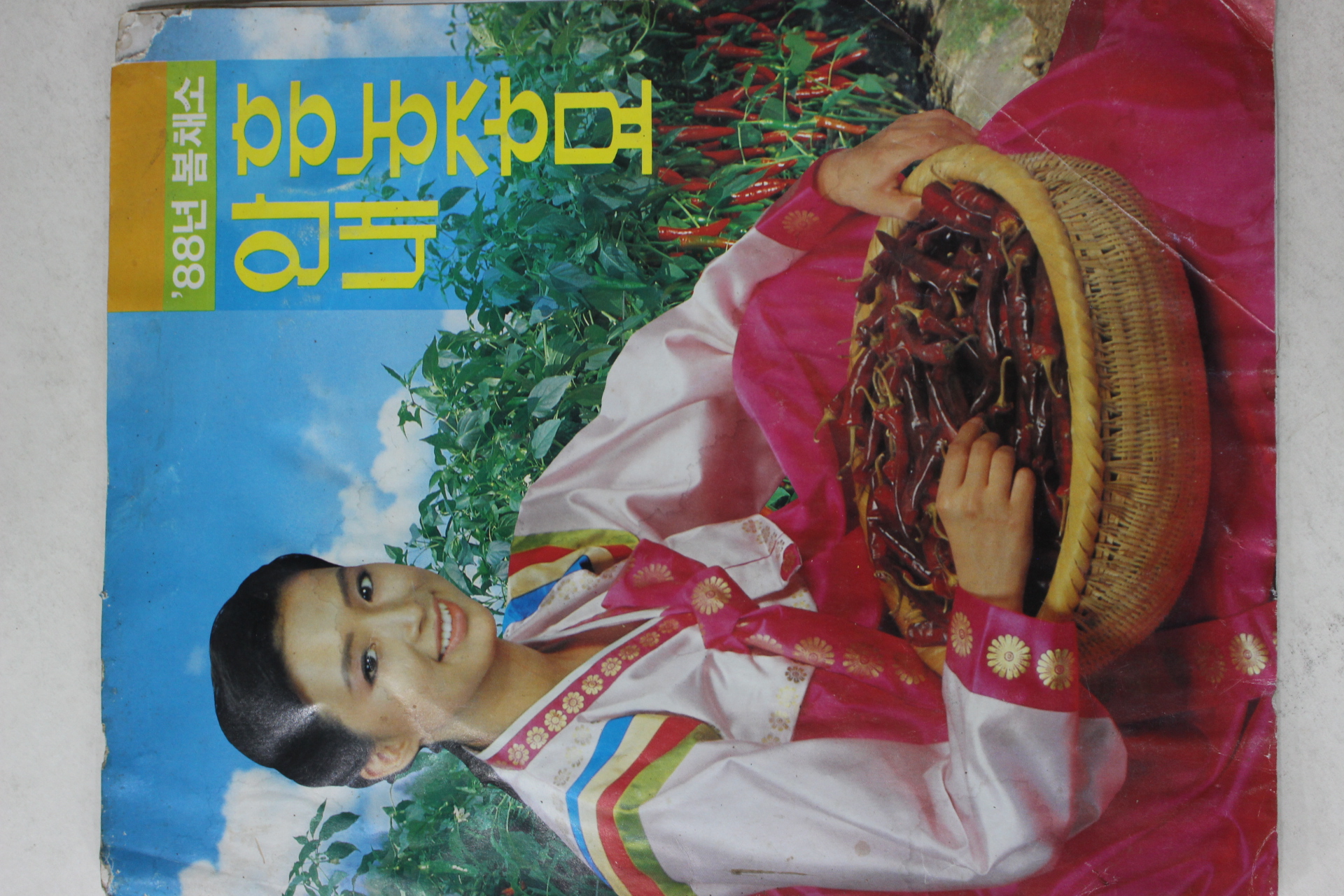 1988년 흥농종묘 봄채소 안내