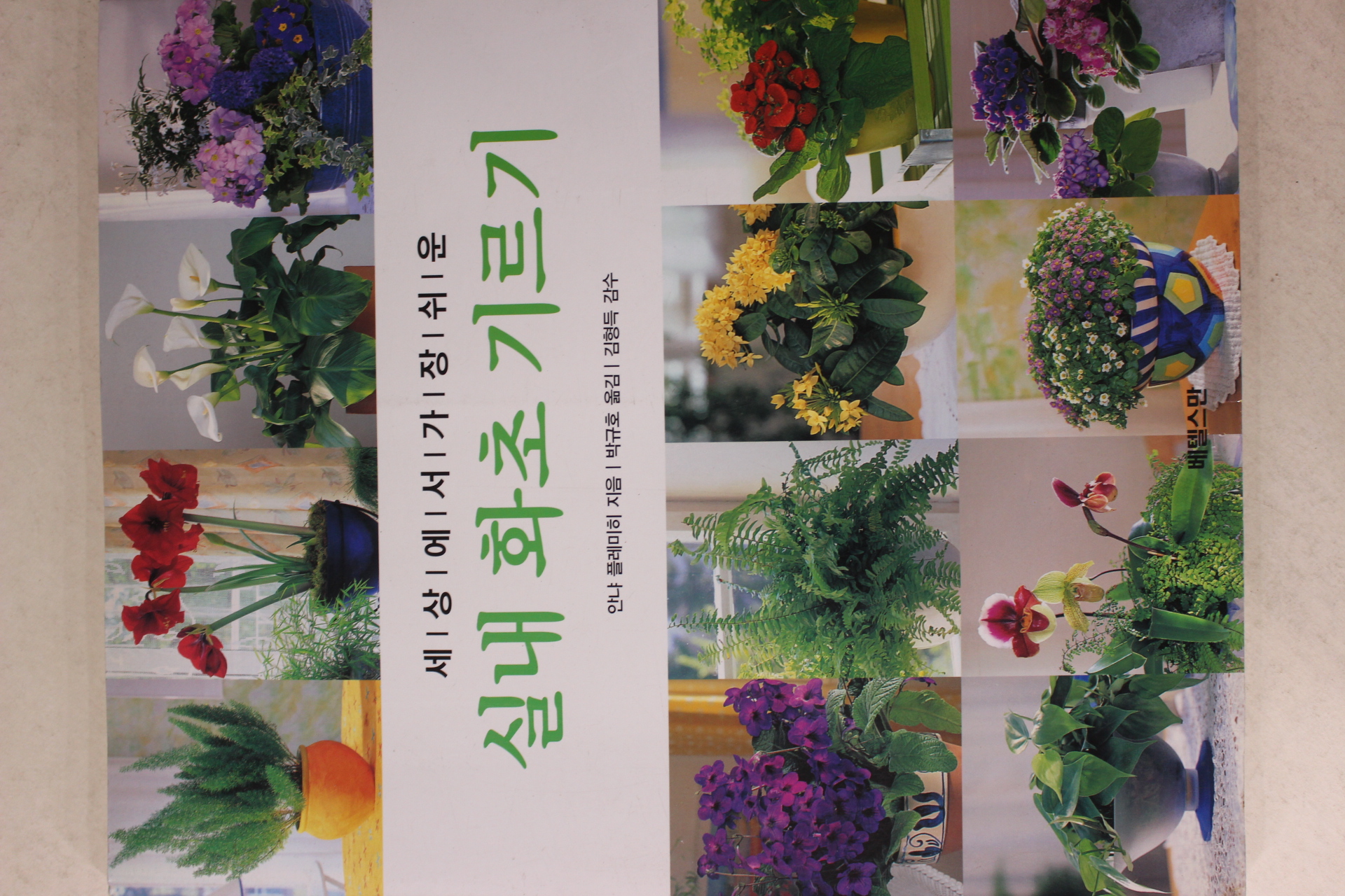 2002년 안냐 플레미히 박규호옮김 실내 화초 기르기