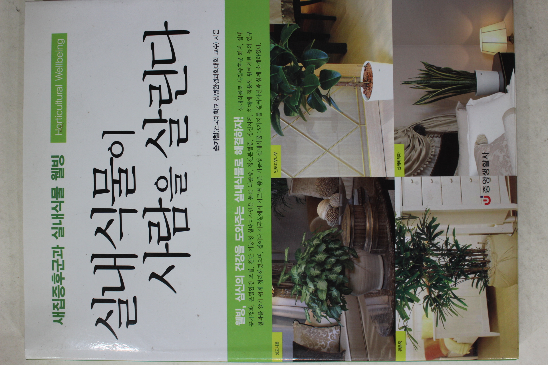 2004년 손기철 실내식물이 사람을 살린다