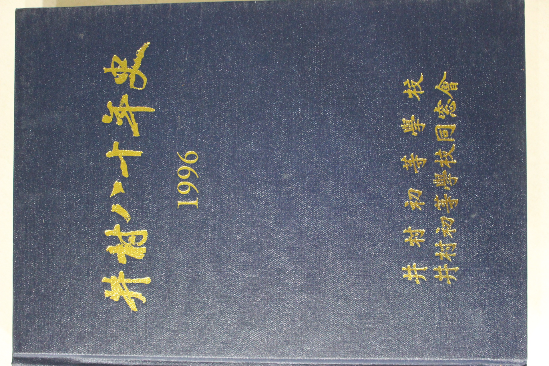 1996년 정촌초등학교 정촌80년사