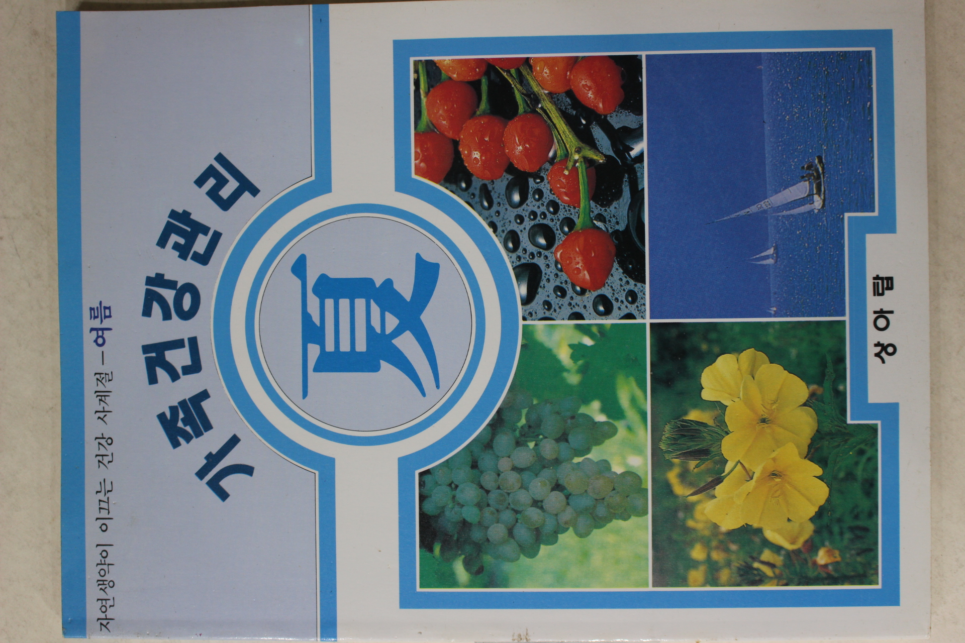 1997년 가족건강관리 하