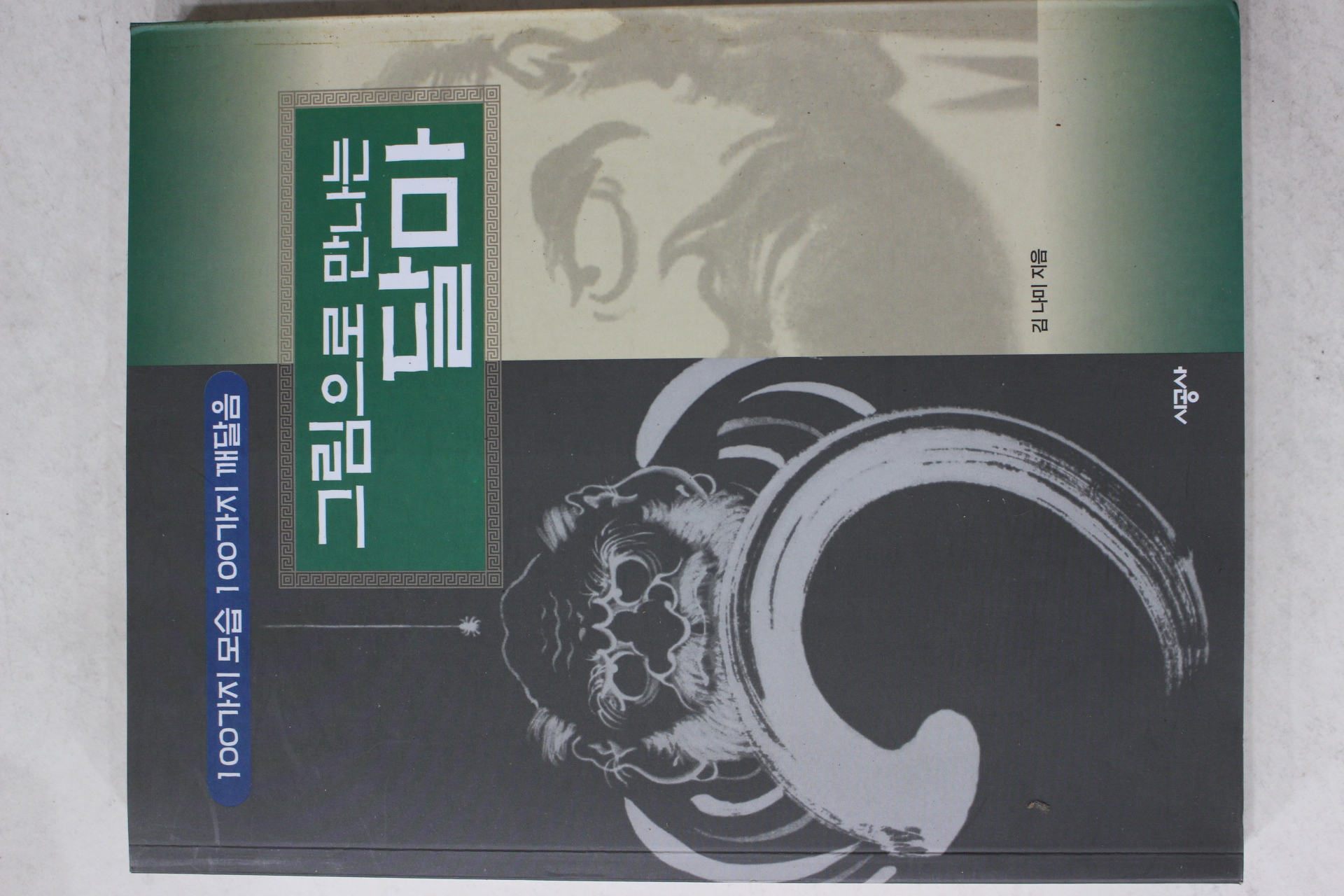 1999년초판 김나미 그림으로 만나는 달마