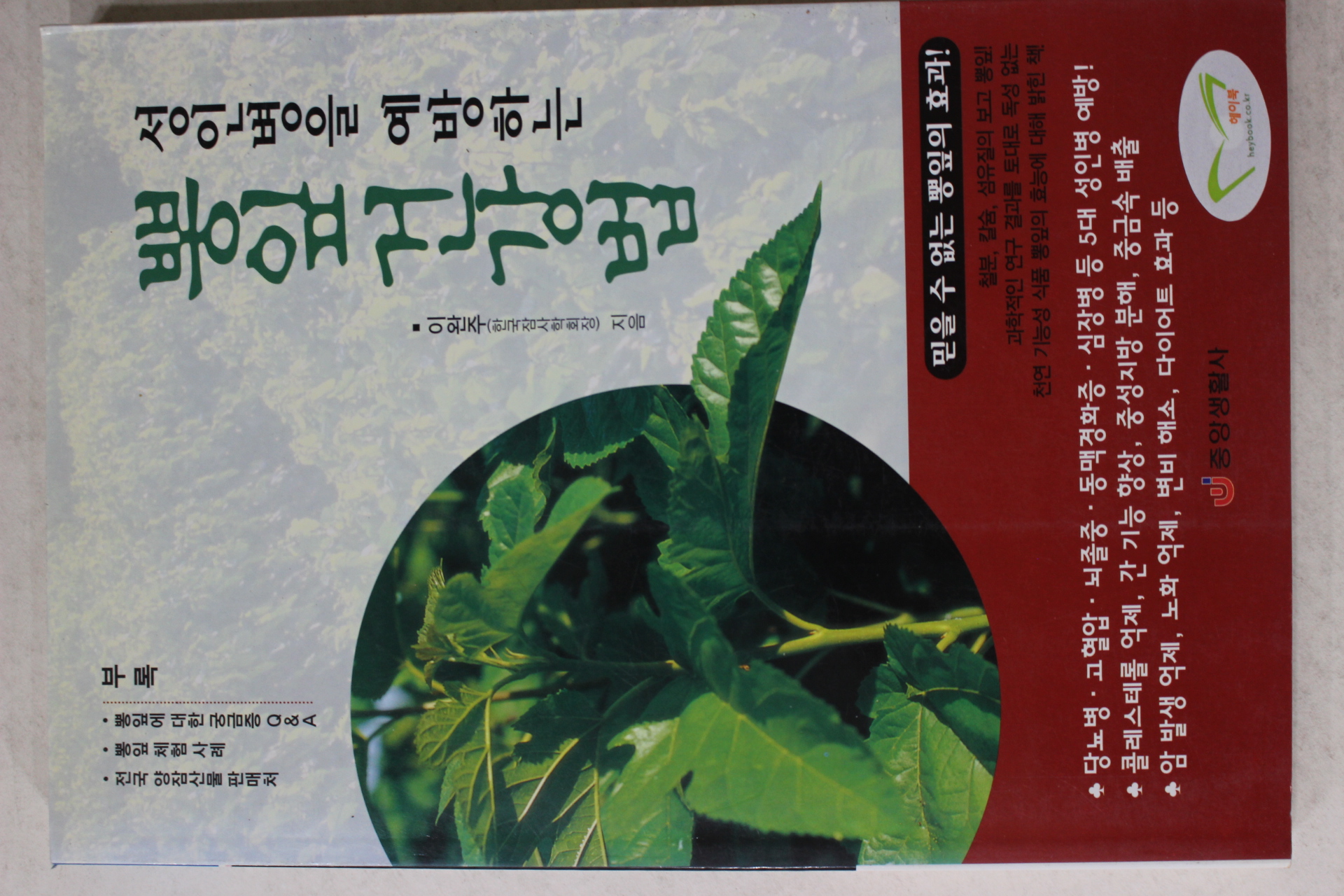 2003년초판 이완주 성인병을 예방하는 뽕잎건강법