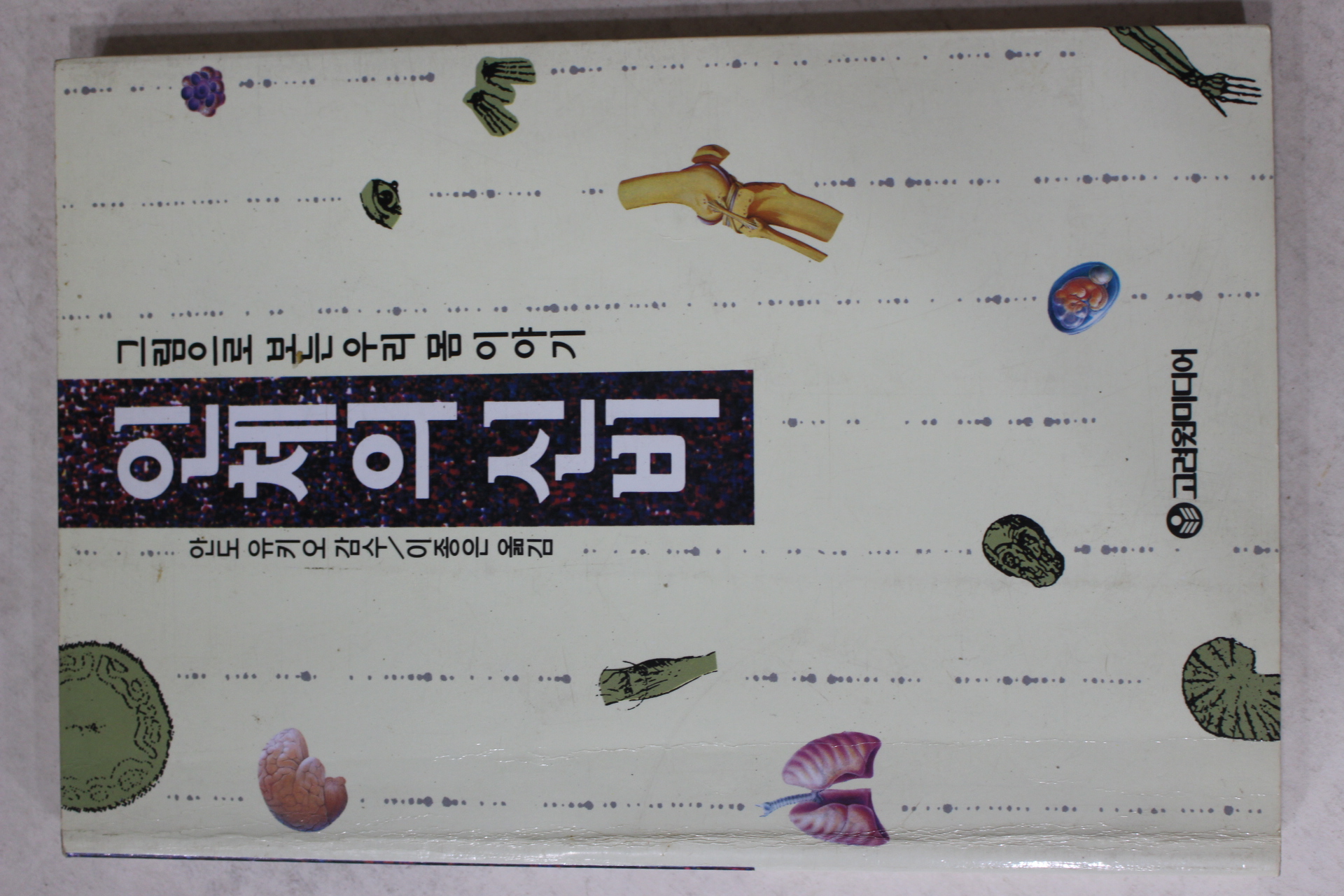 1995년초판 안도유키오 이종은옮김 인체의 신비