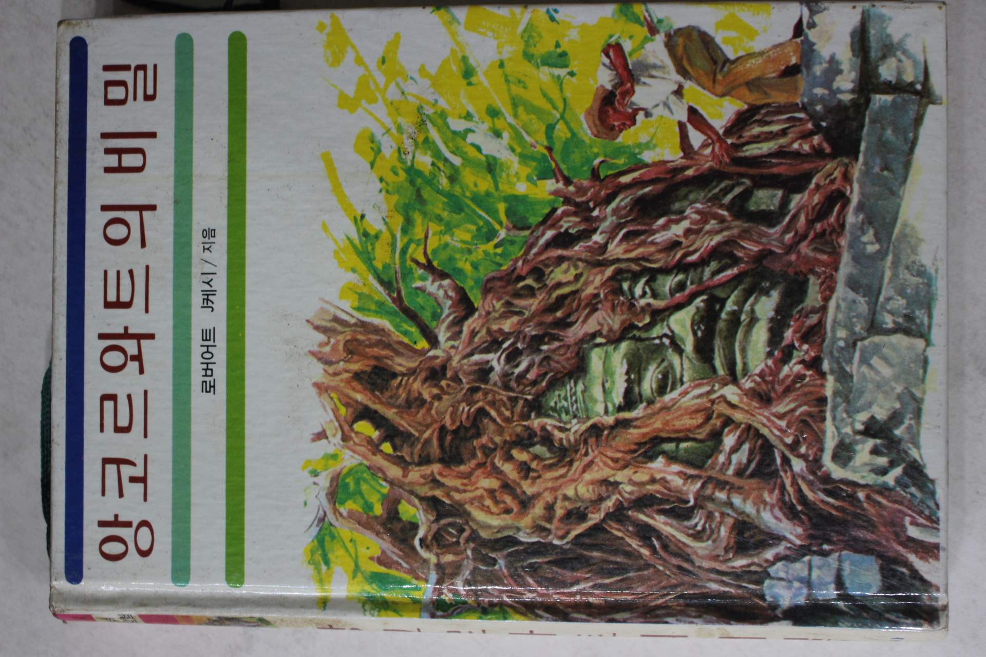 1985년 로버어트 케시 앙코르와트의 비밀