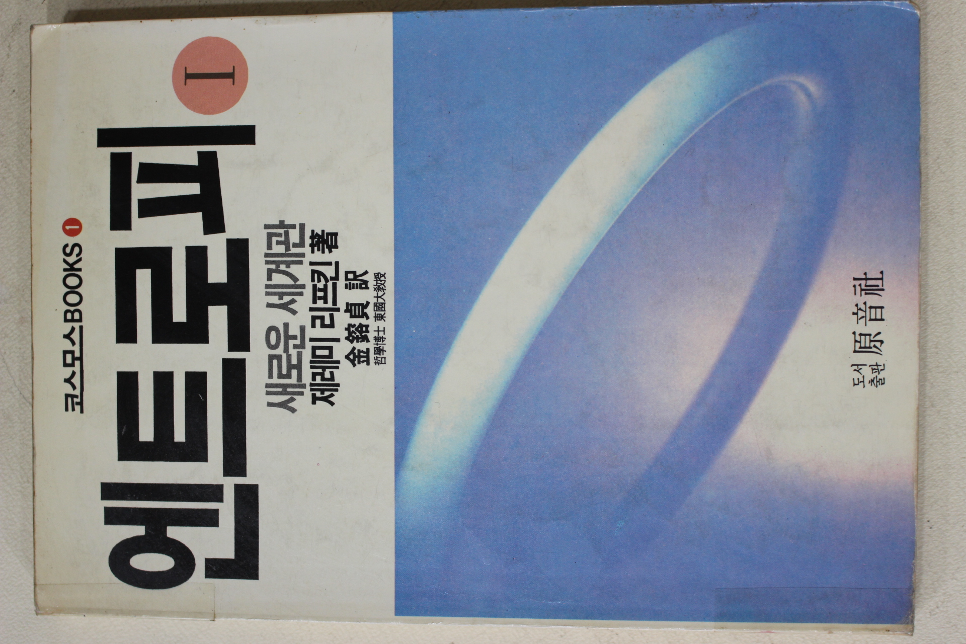 1991년 제레미 리프킨 엔트로피 1