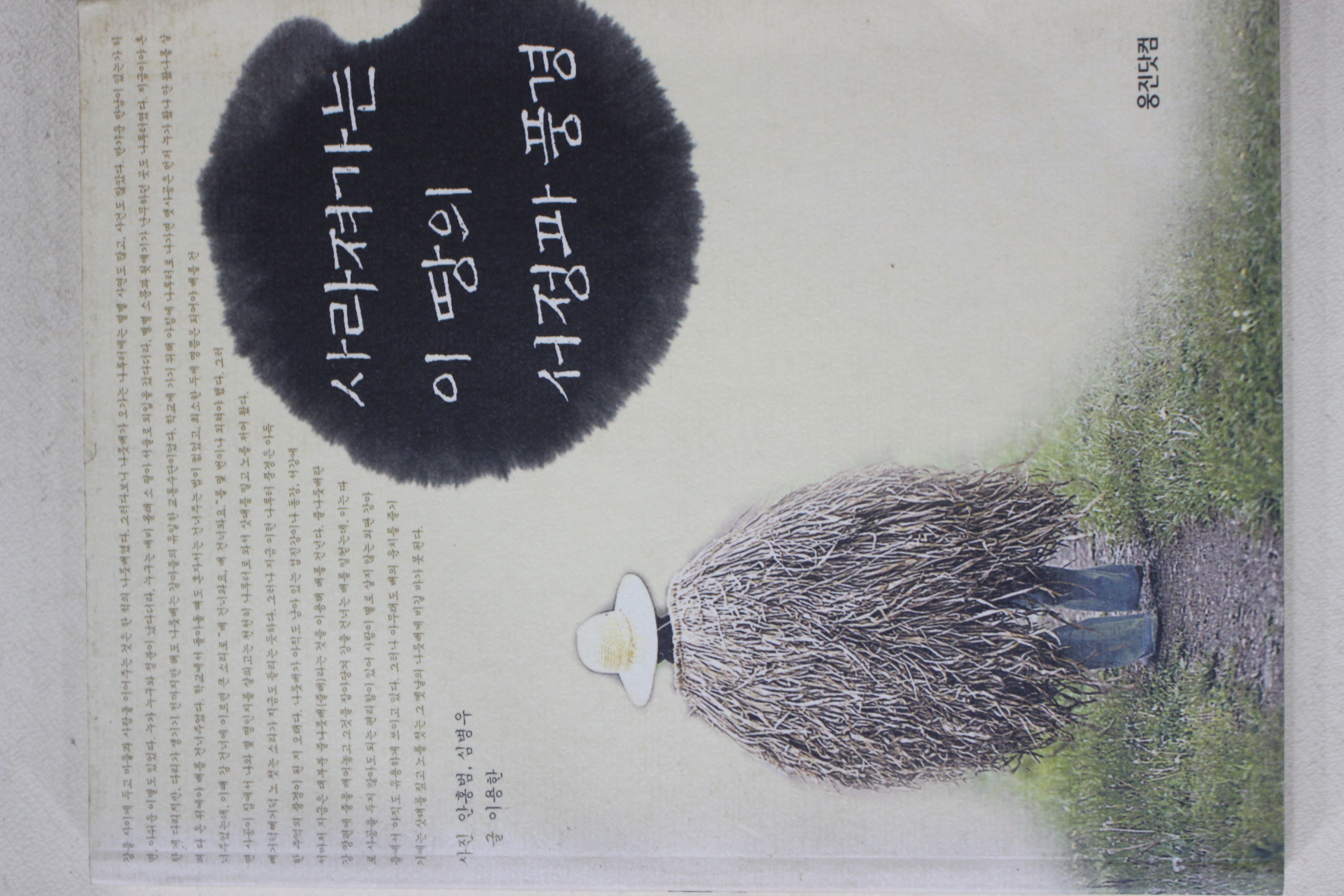 2002년 이용한 사라져가는 이땅의 서정과 풍경