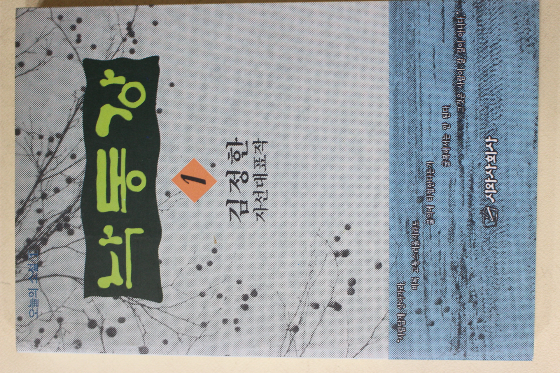 1994년초판 김정한 자선대표작 낙동강 1