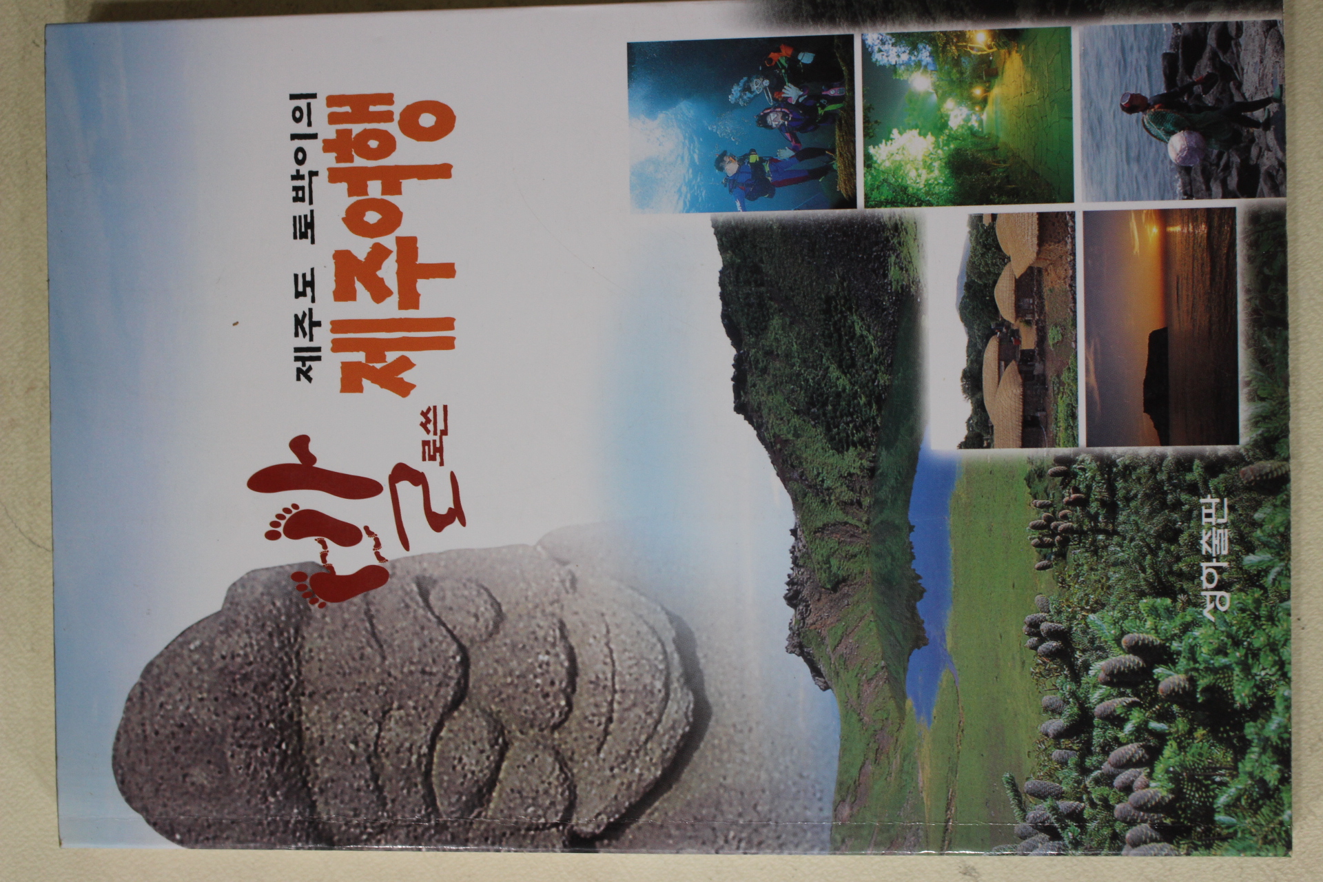 1999년 제주도 토박이의 발로쓴 제주여행
