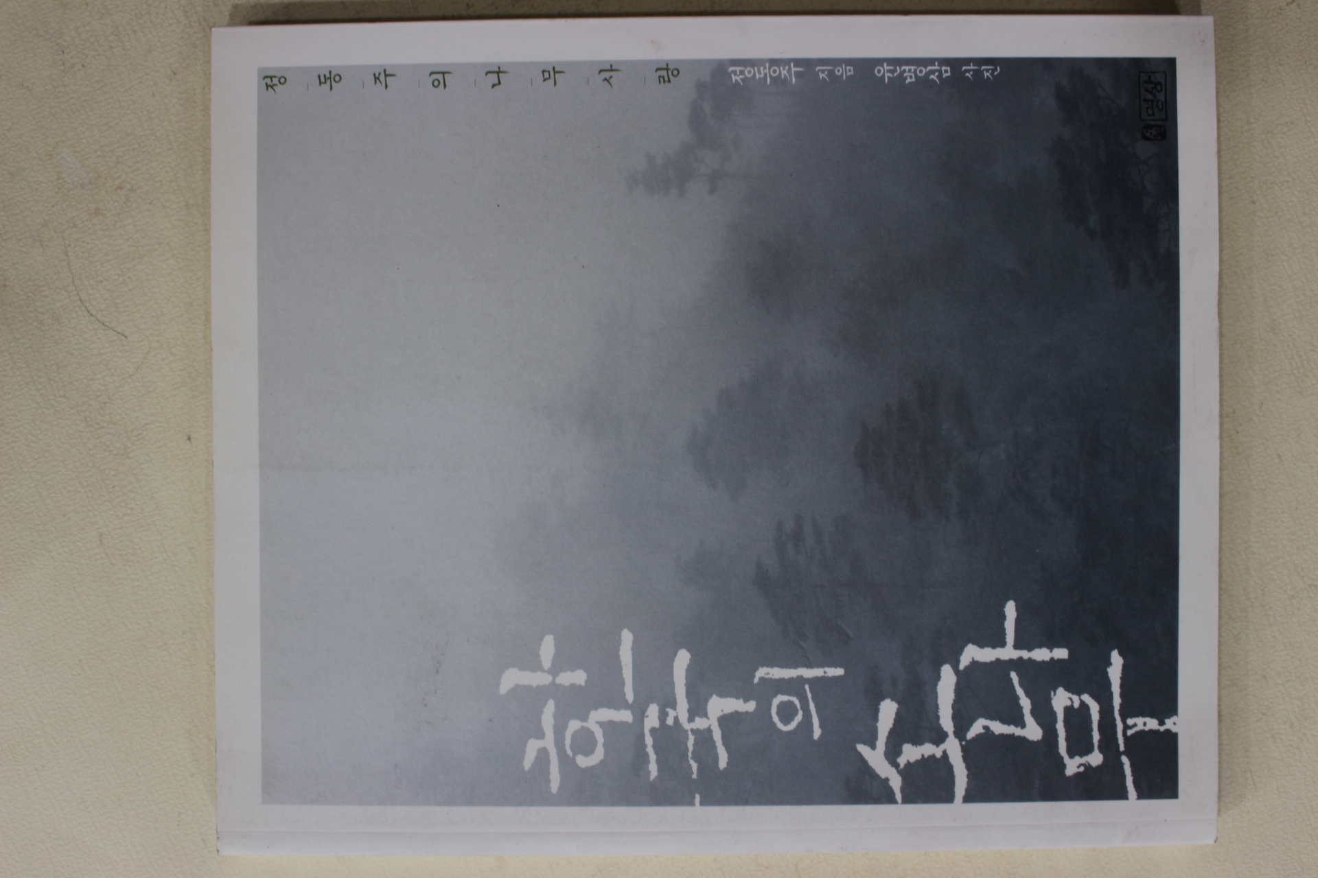 2004년 정동주 한국의 소나무